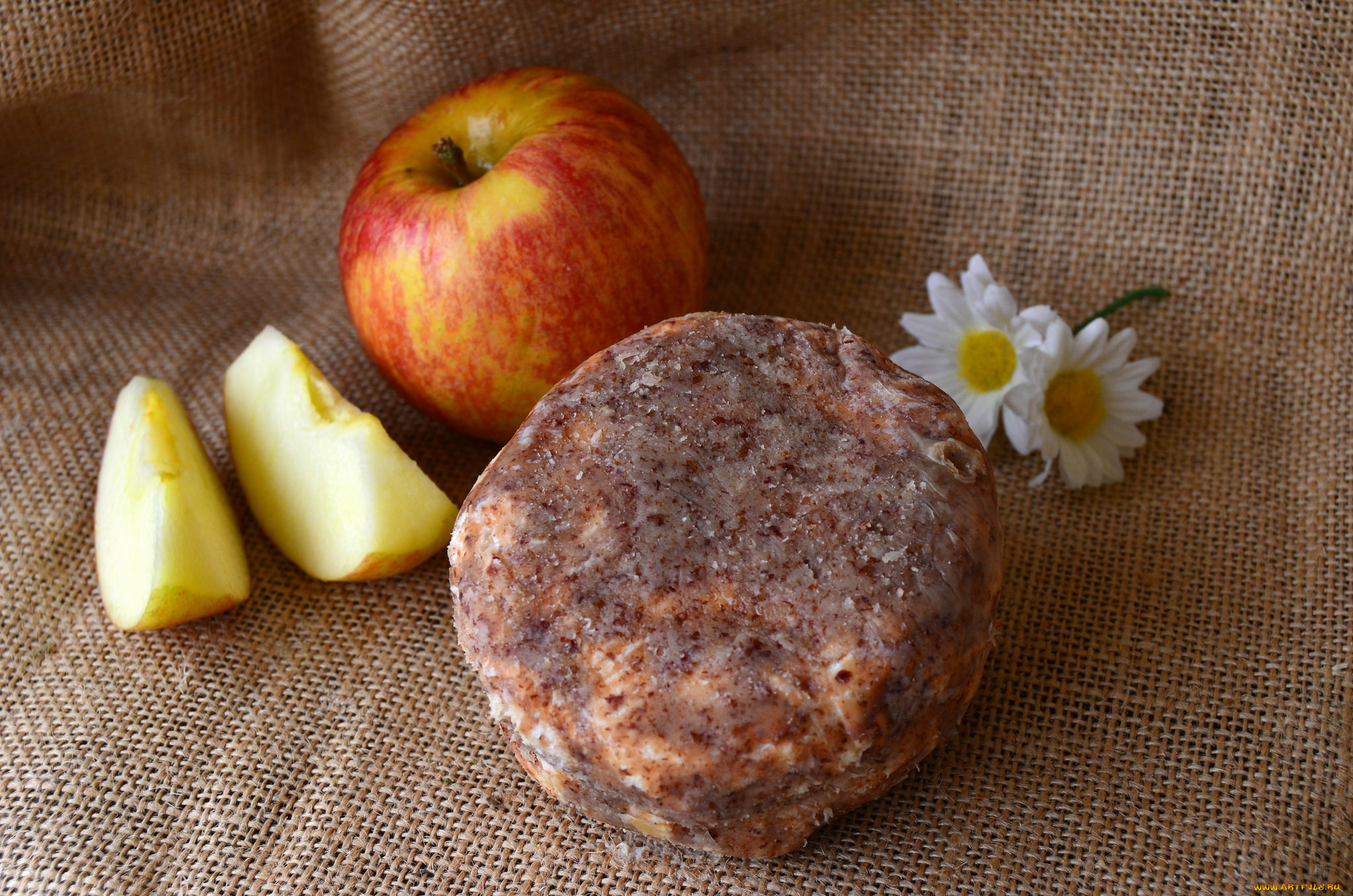 le, cameau, еда, сырные, изделия, сыр