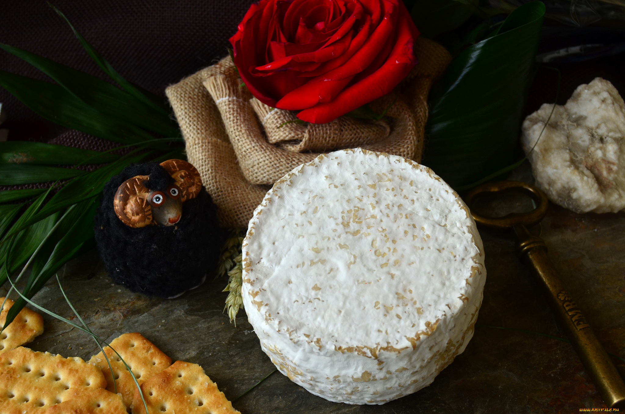 les, agudes, еда, сырные, изделия, сыр