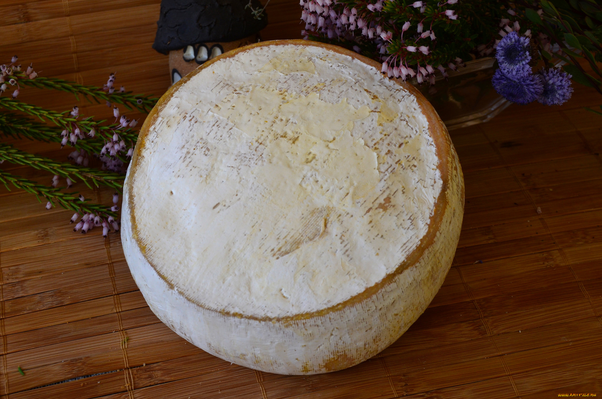 novell, , gran, formato, еда, сырные, изделия, сыр