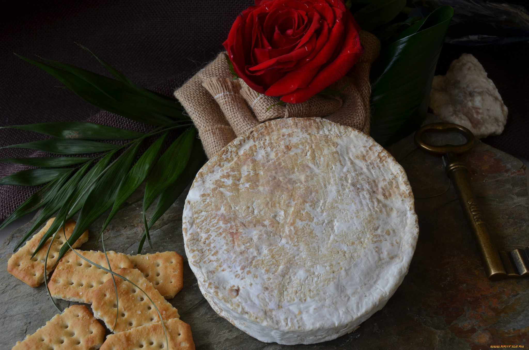 pla, peque&, 241, еда, сырные, изделия, сыр