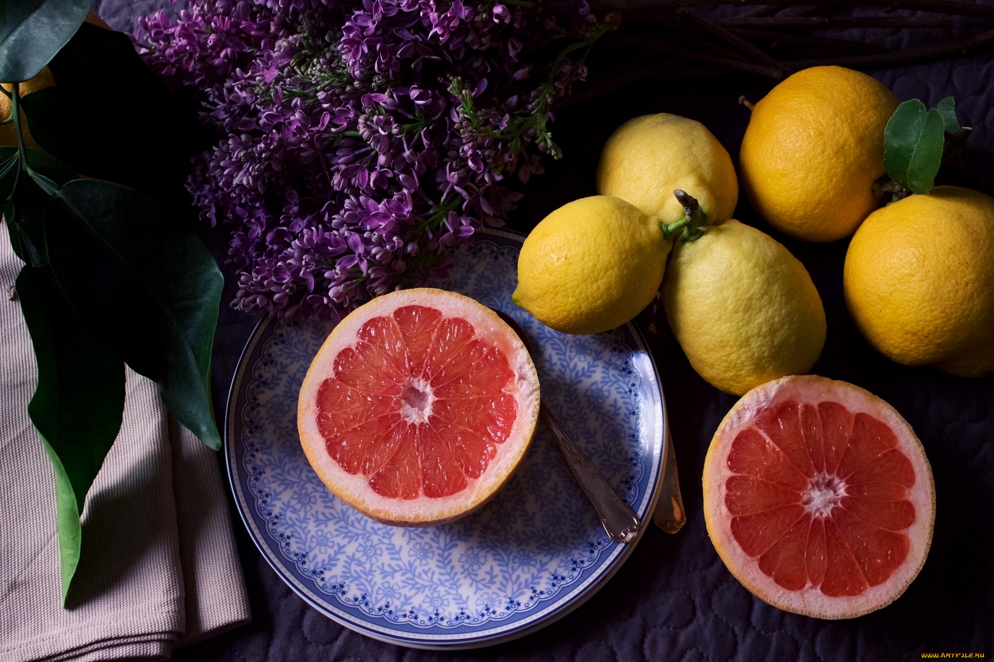 еда, цитрусы, фрукты, лимоны, апельсин, сирень