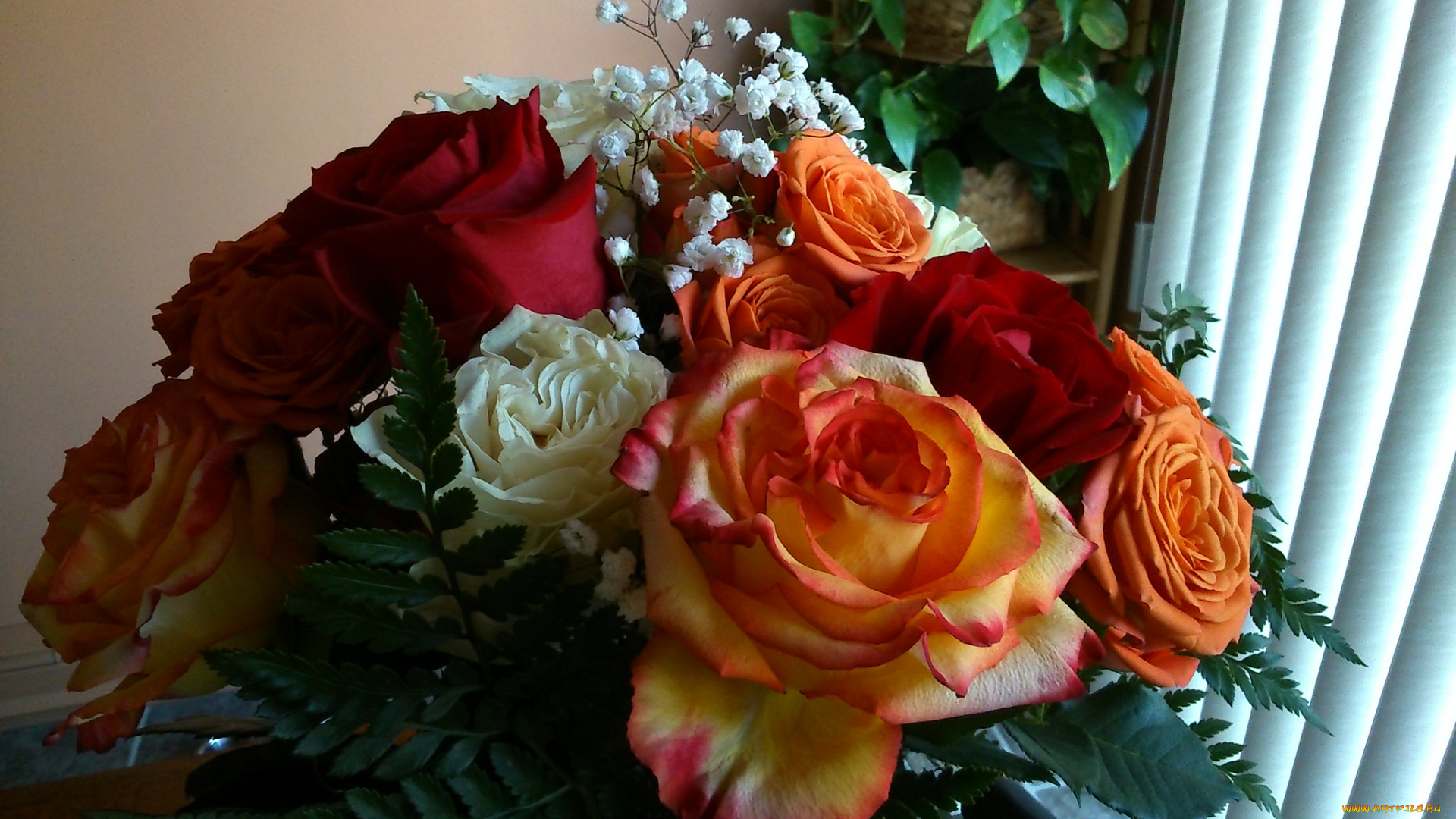 цветы, букеты, , композиции, букет