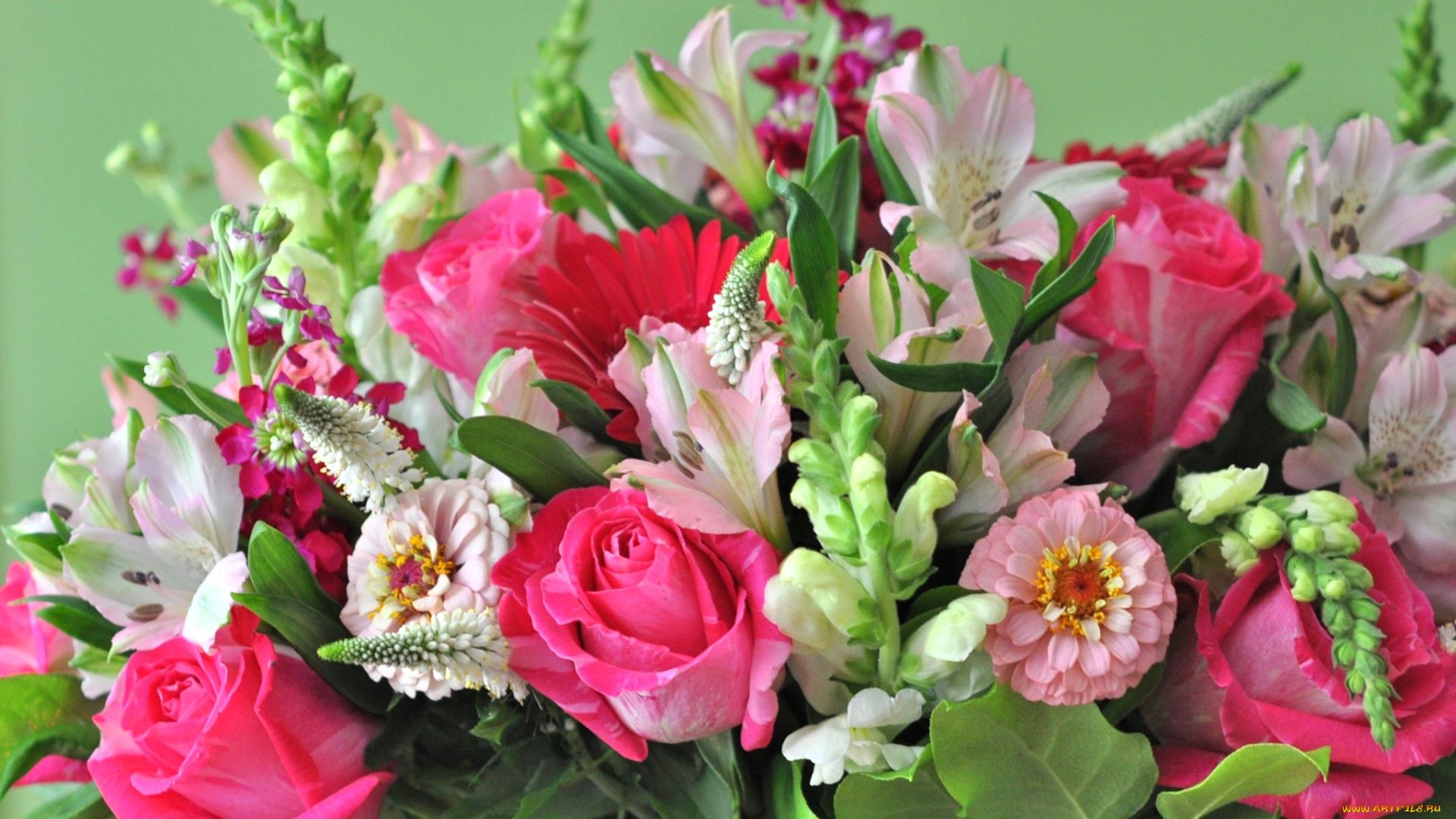 цветы, букеты, , композиции, букет