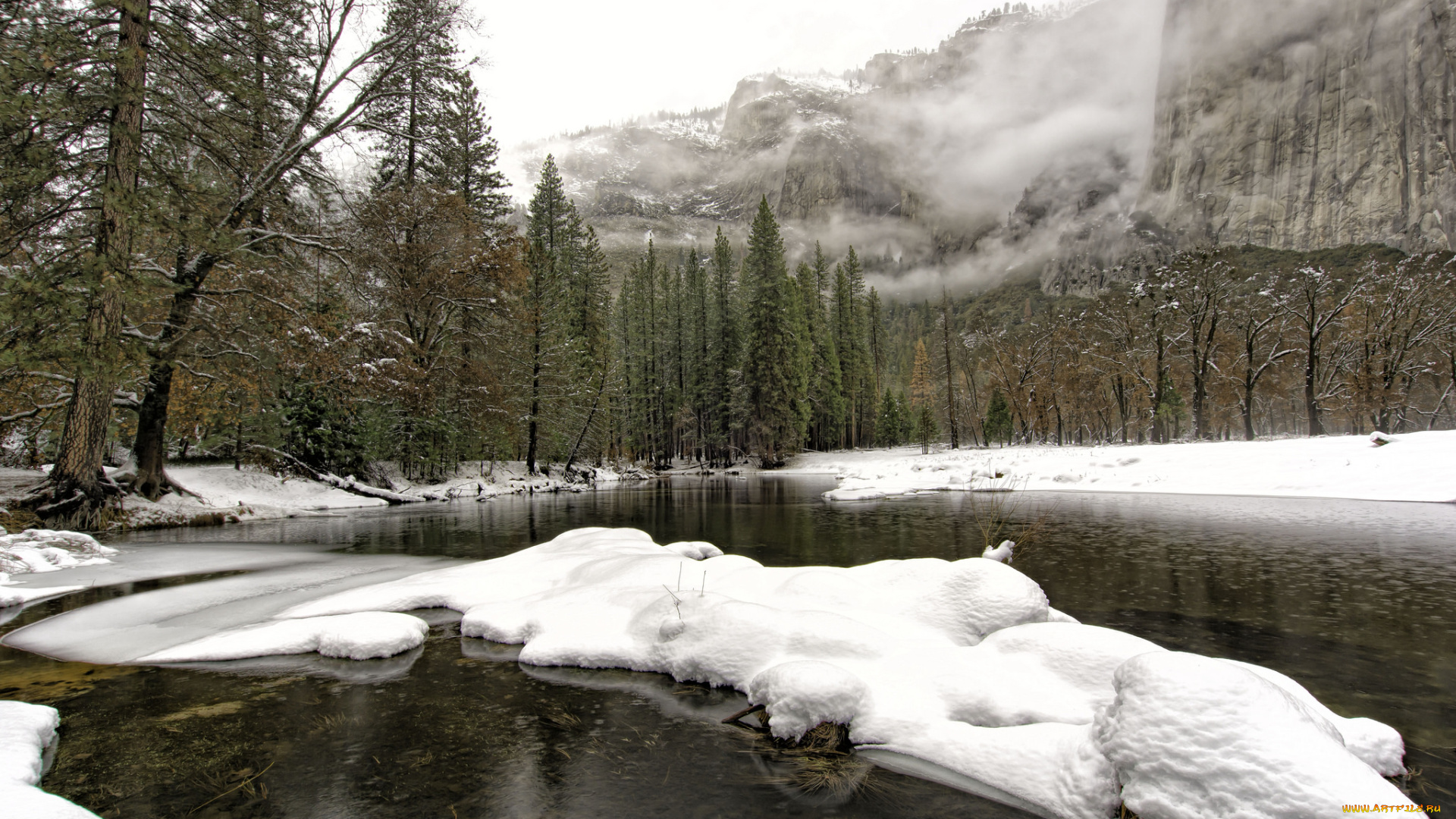 природа, реки, озера, лес, река