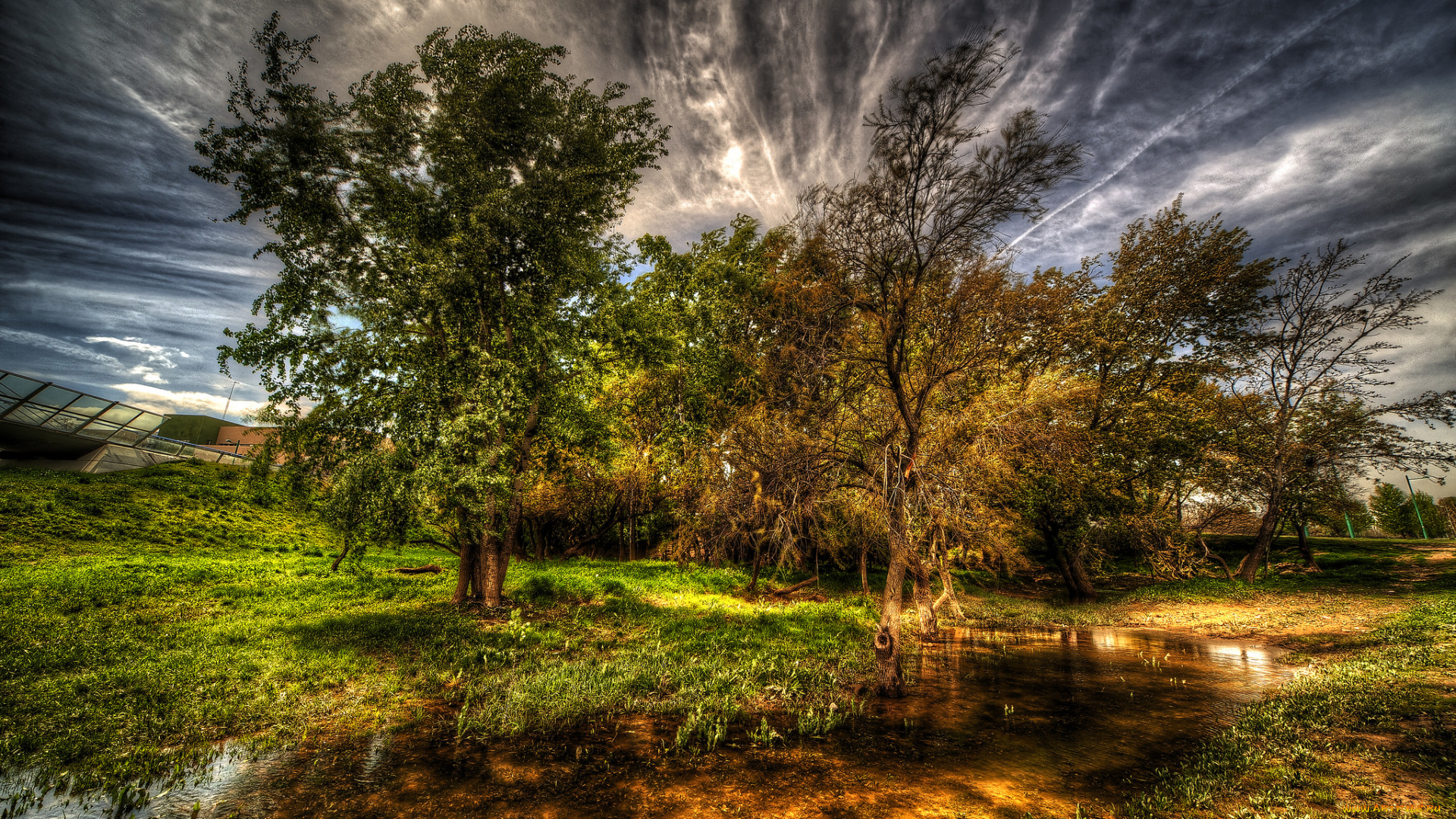 природа, реки, озера, река, лес