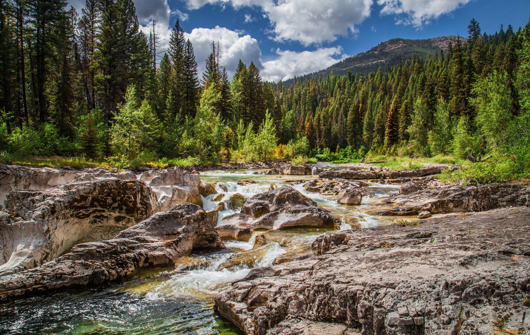 природа, реки, озера, лес, река