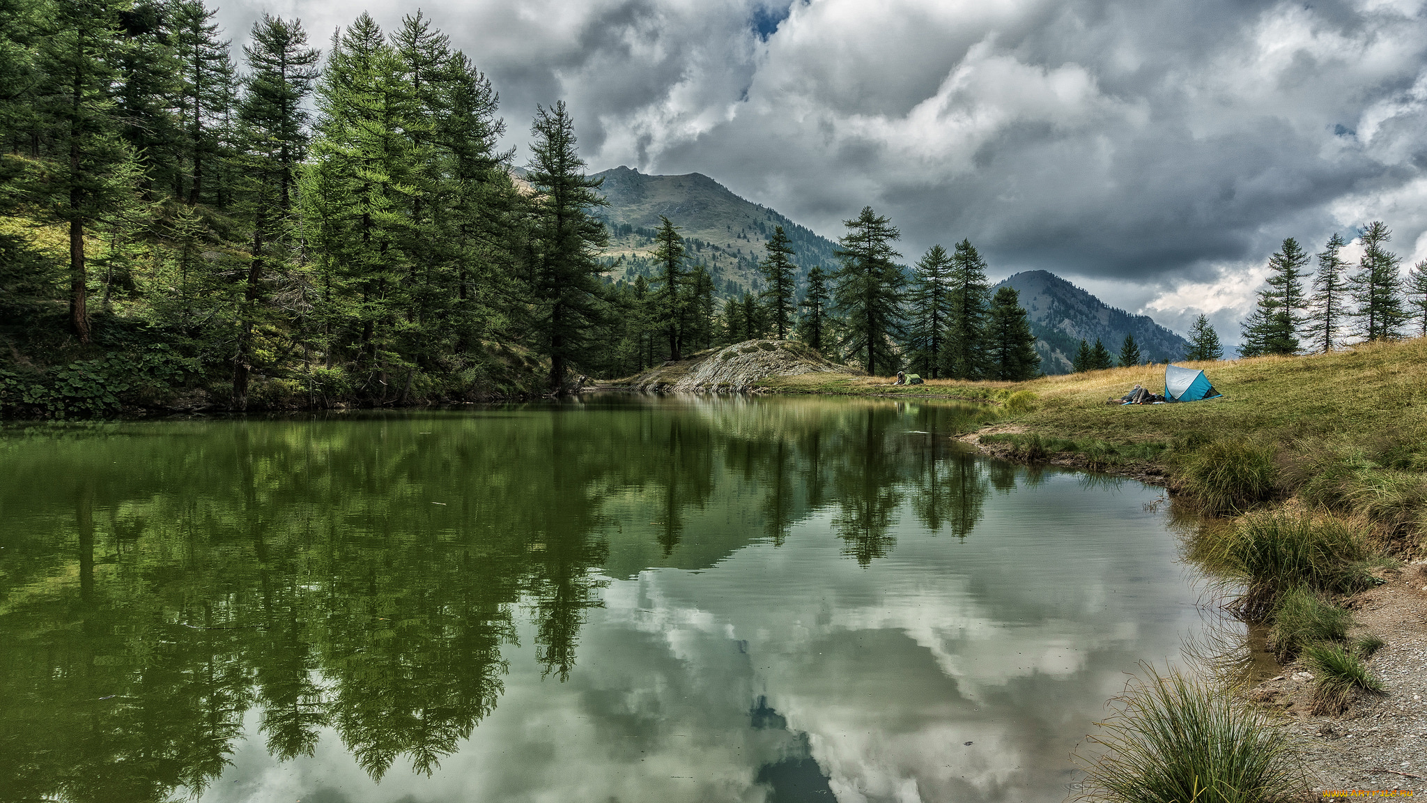 природа, реки, озера, река, лес