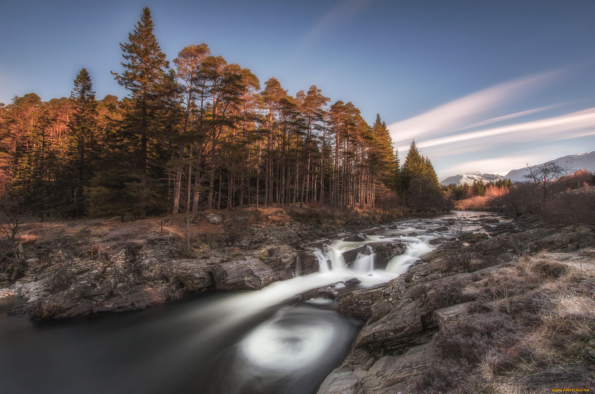 природа, реки, озера, река, лес