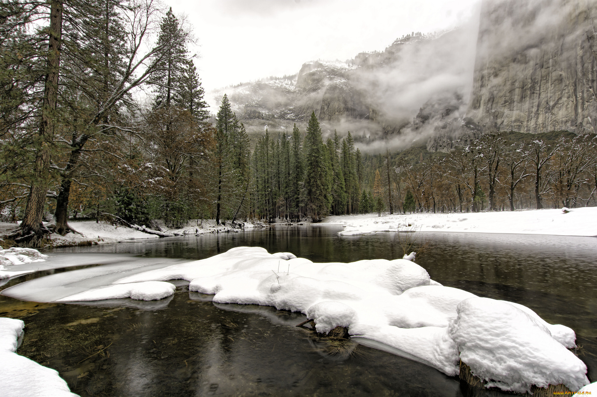 природа, реки, озера, лес, река