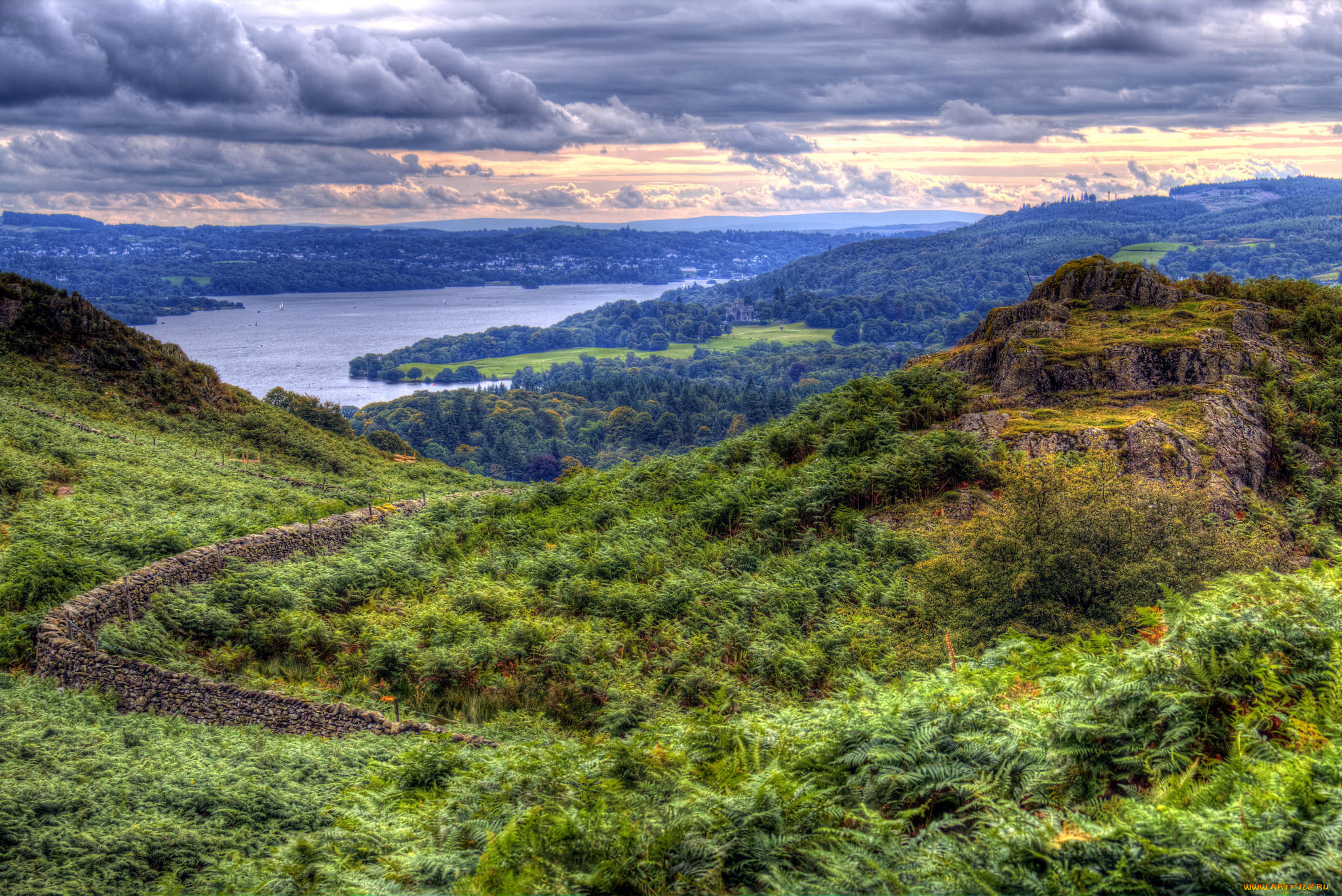 природа, реки, озера, лес, река