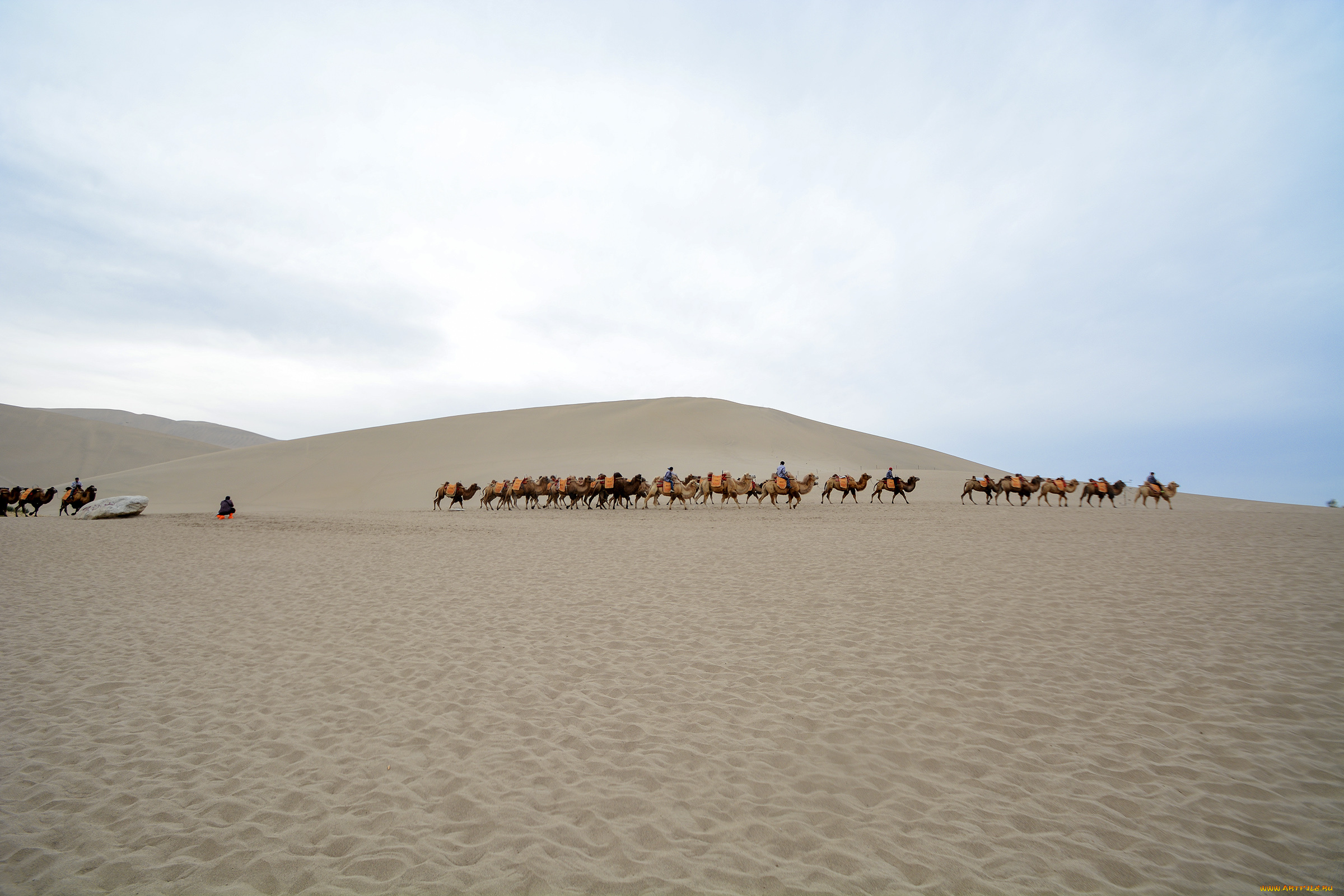 природа, пустыни, карапван, пустыня