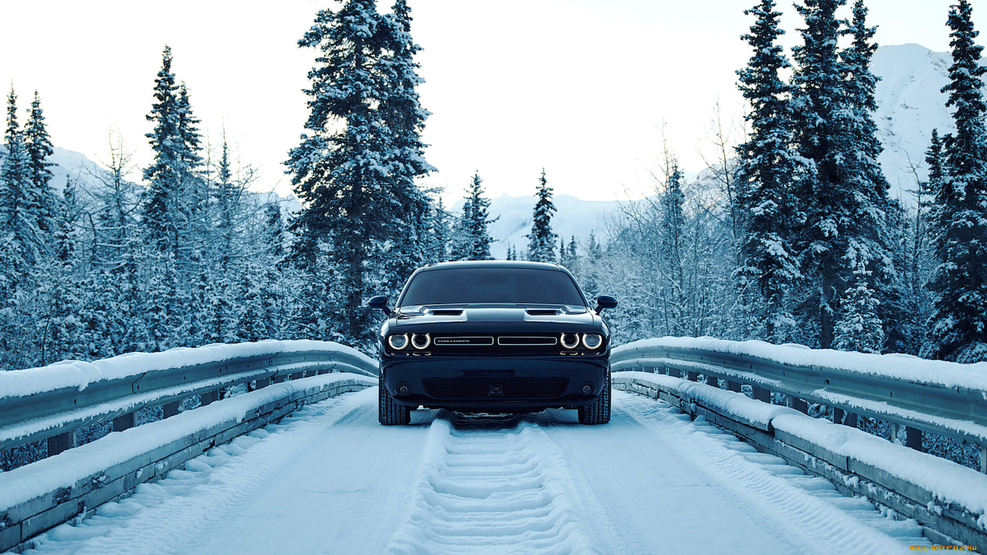 dodge, challenger, gt-awd, 2017, автомобили, dodge, 2017, gt-awd, challenger