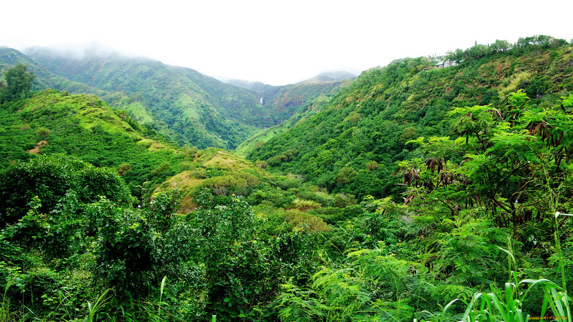 природа, лес, горы