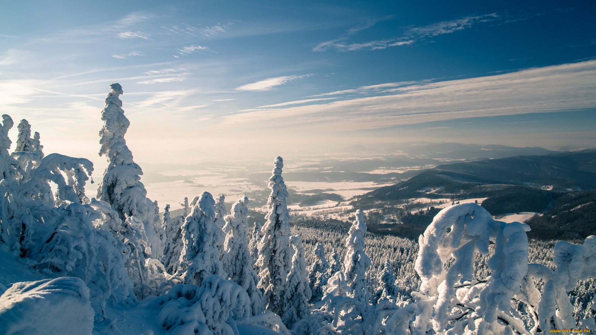 природа, зима, снег, деревья