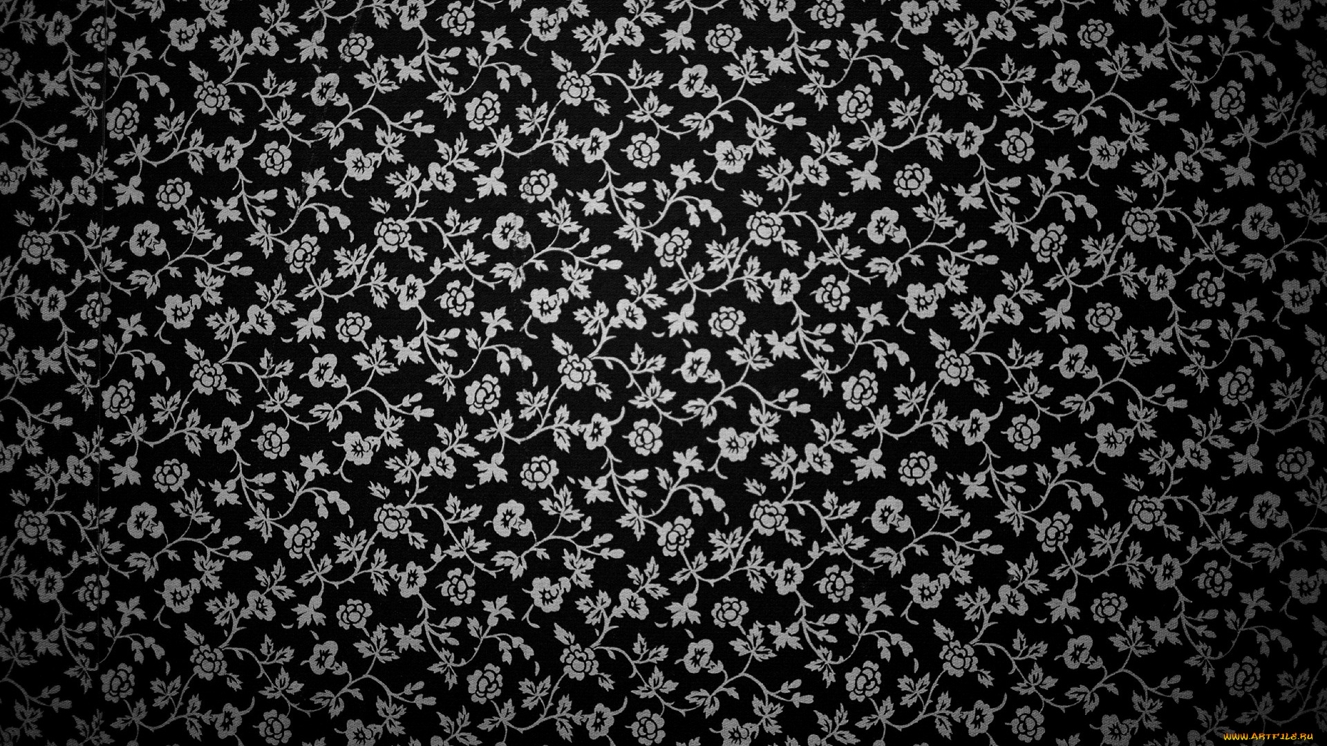 векторная, графика, цветы, , flowers, фон, цветы