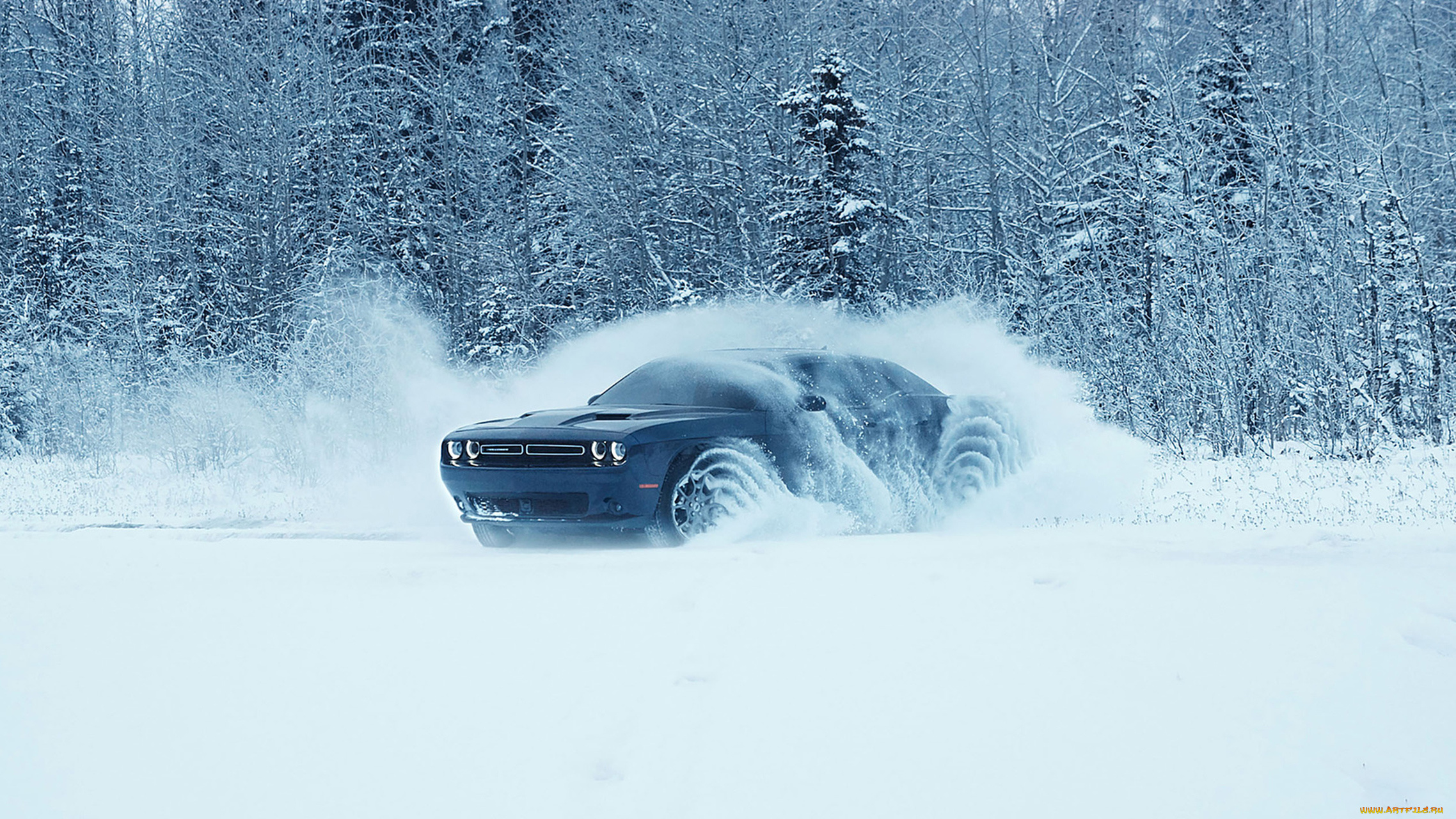 dodge, challenger, gt-awd, 2017, автомобили, dodge, 2017, gt-awd, challenger
