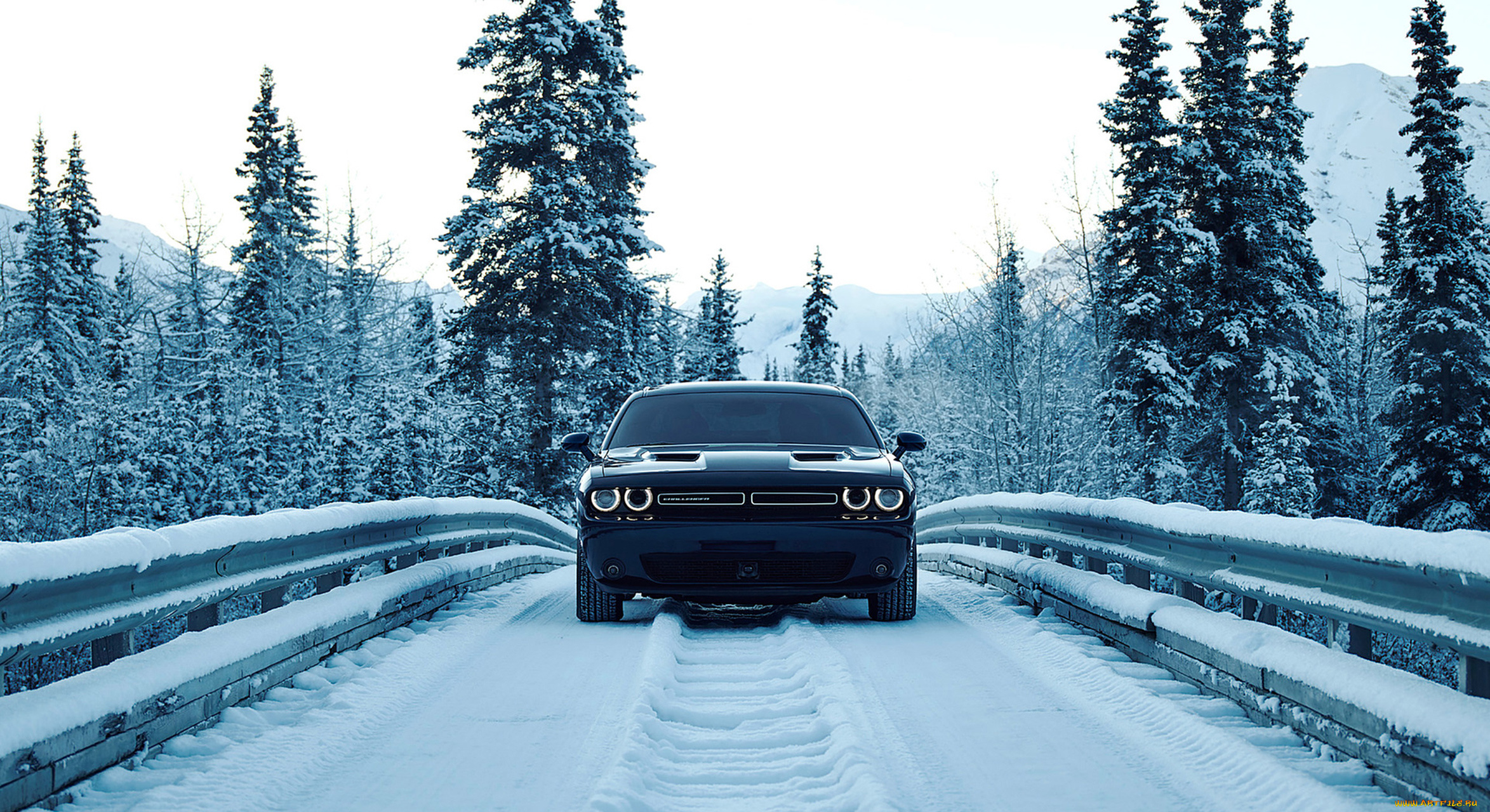 dodge, challenger, gt-awd, 2017, автомобили, dodge, 2017, gt-awd, challenger