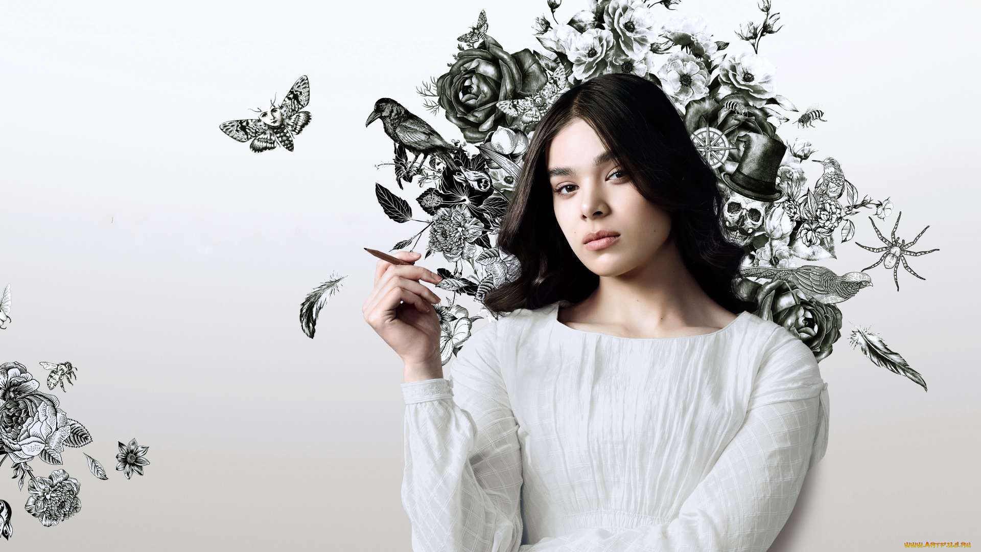 девушки, hailee, steinfeld, актриса, брюнетка, карандаш, рисунок