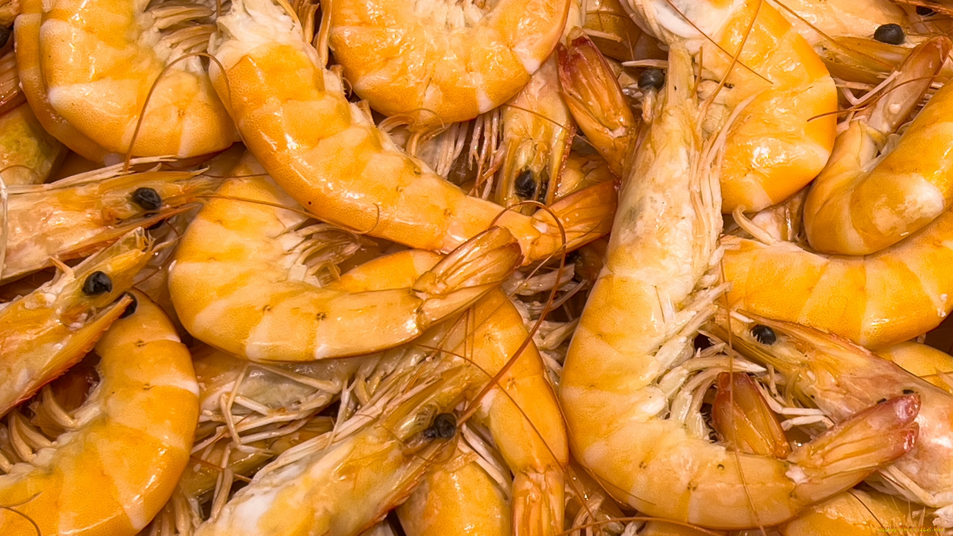 еда, рыба, , морепродукты, , суши, , роллы, креветки