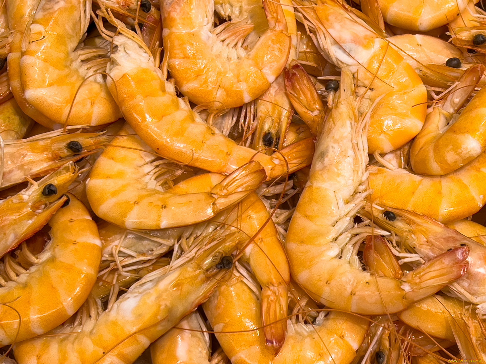 еда, рыба, , морепродукты, , суши, , роллы, креветки