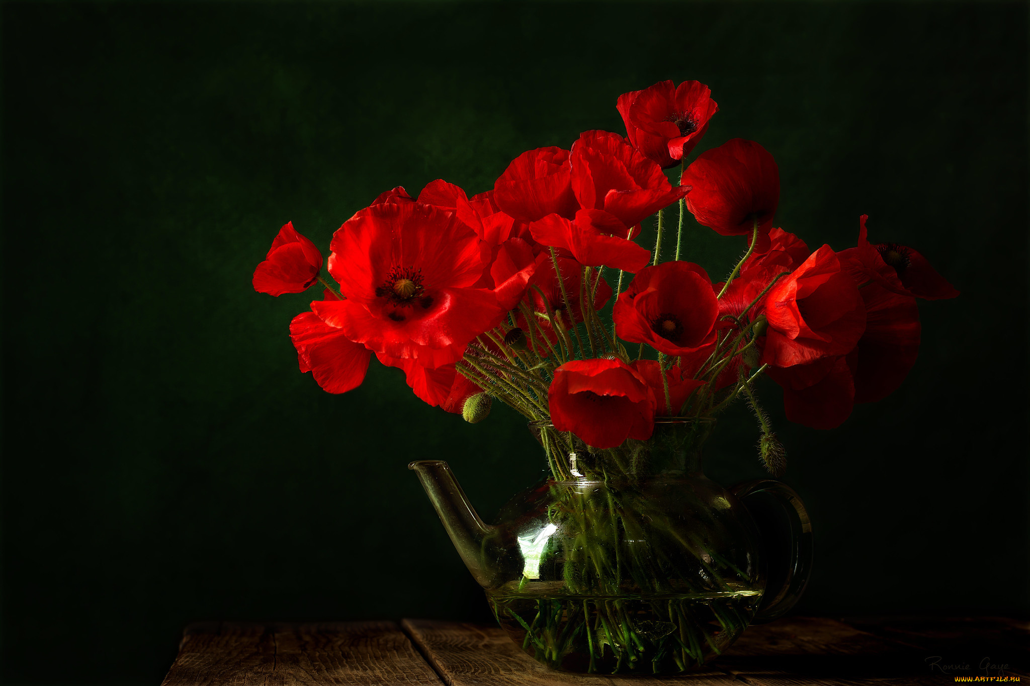 цветы, маки