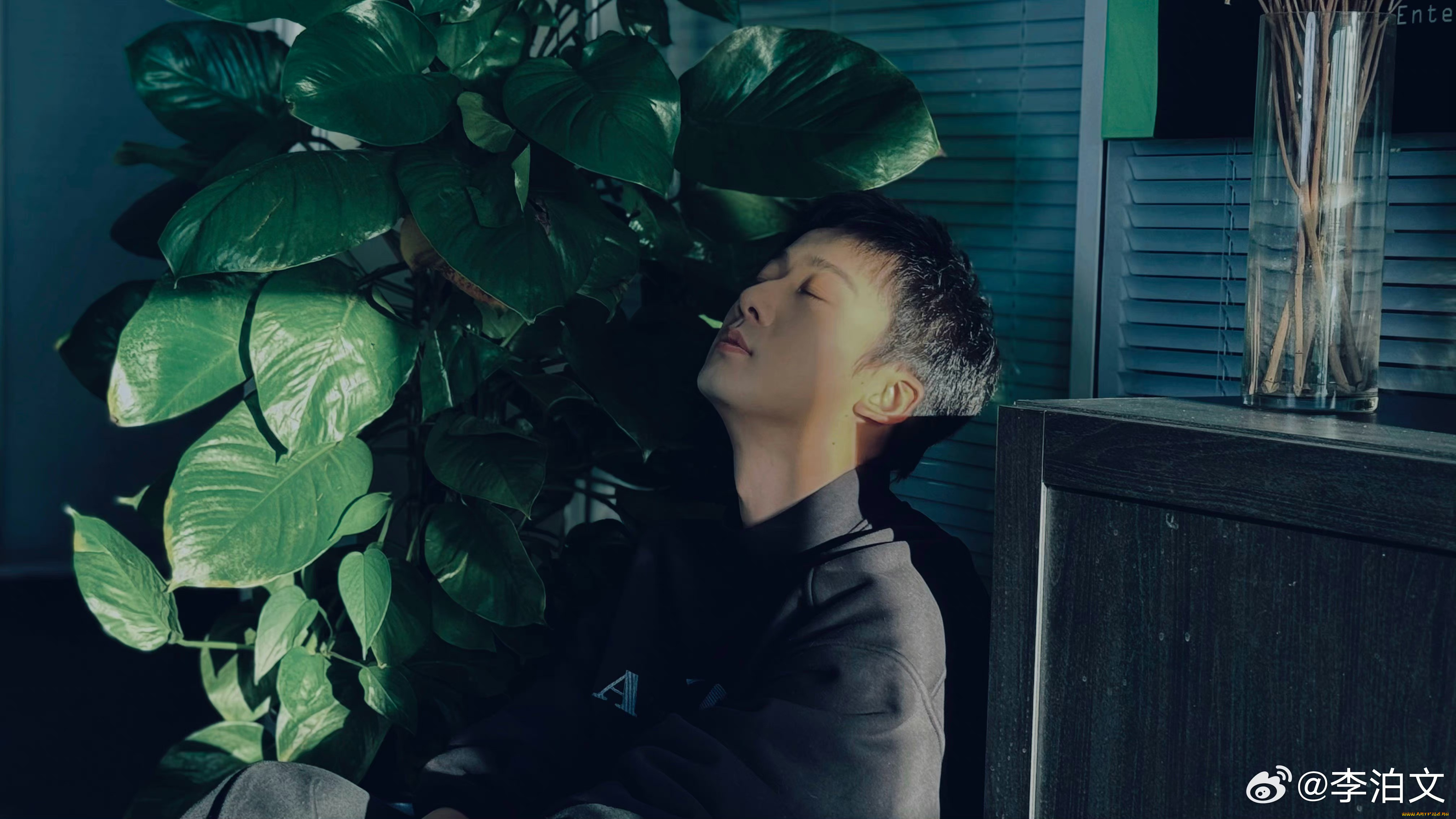 мужчины, li, bo, wen, ли, бовэнь