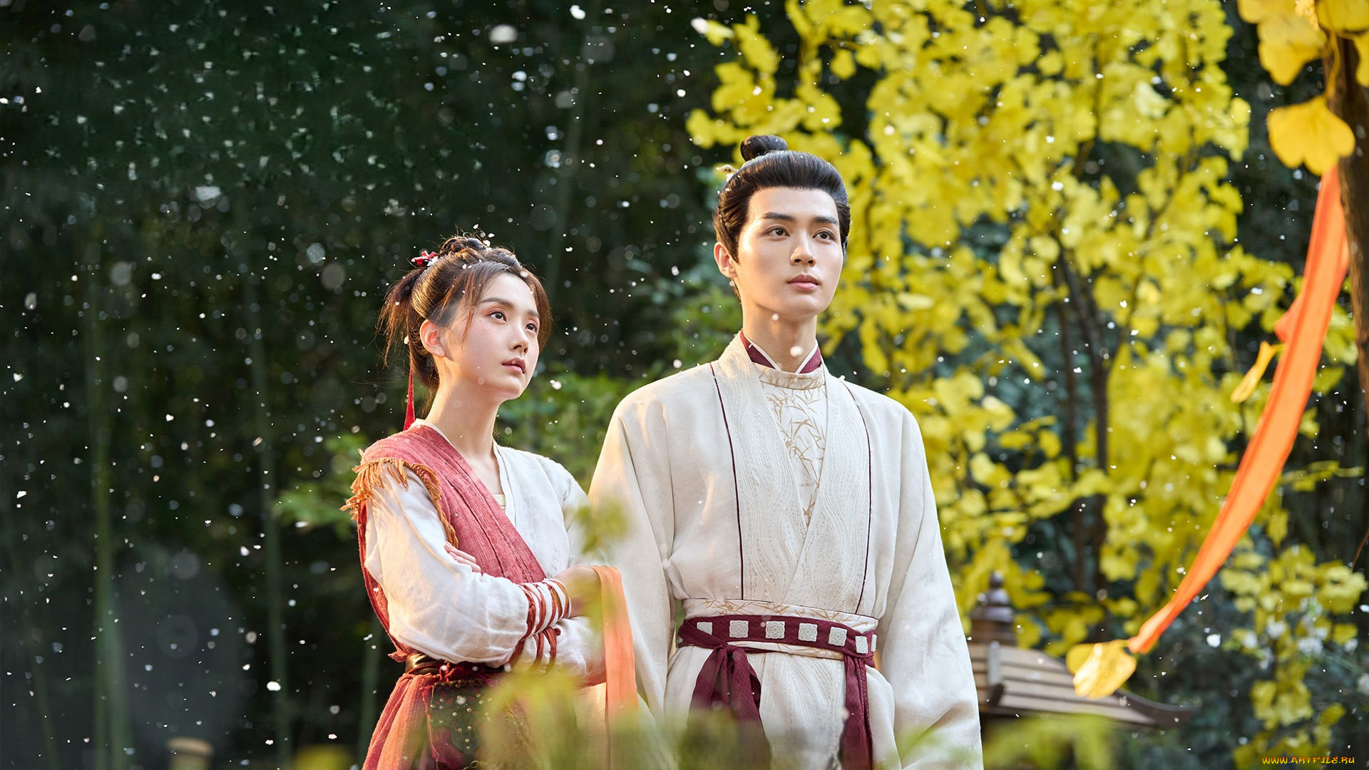 кино, фильмы, love, of, petals, love, of, petals