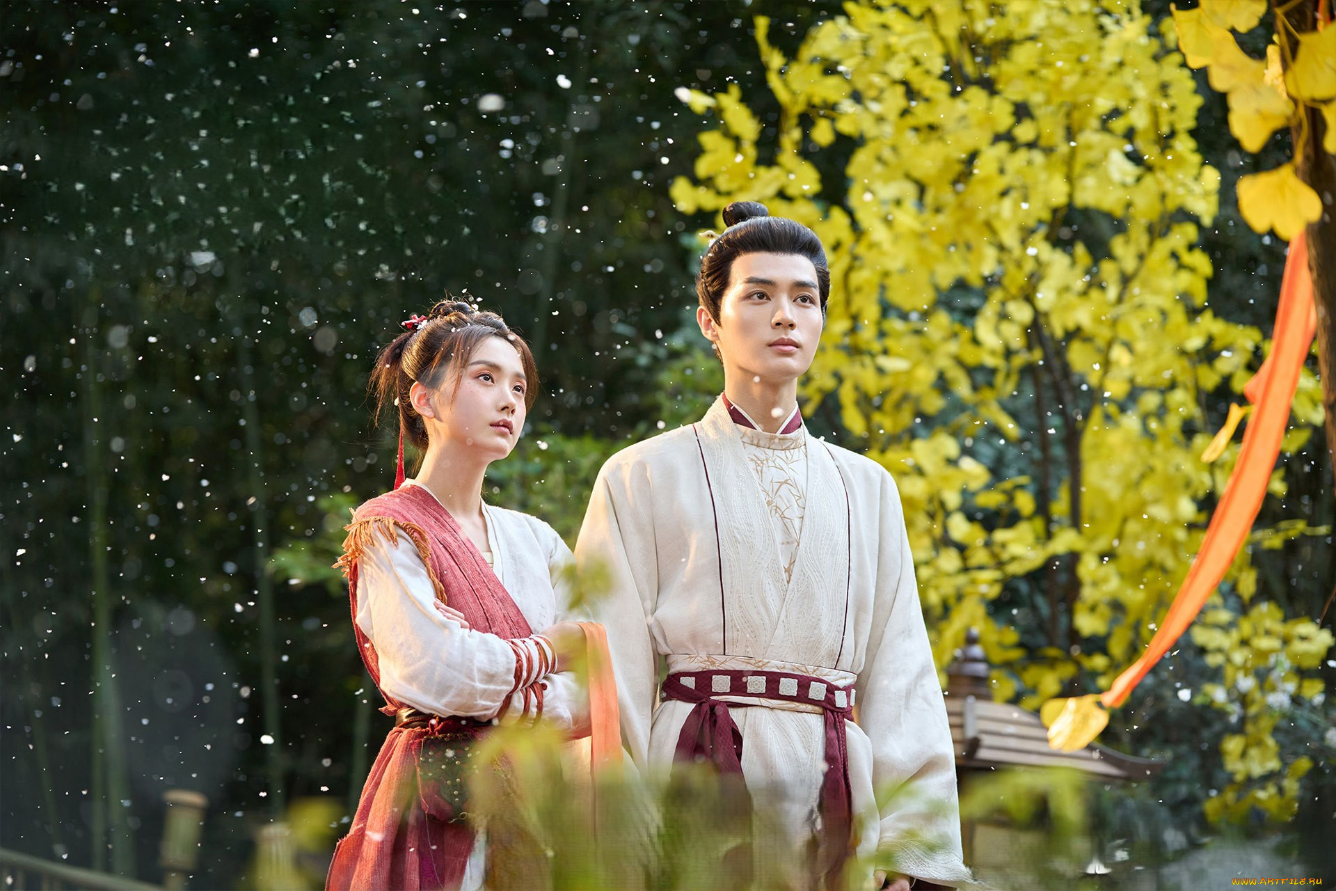 кино, фильмы, love, of, petals, love, of, petals