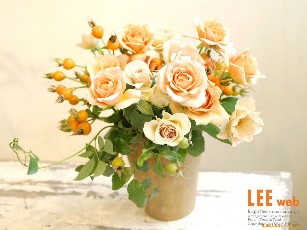 цветы, розы