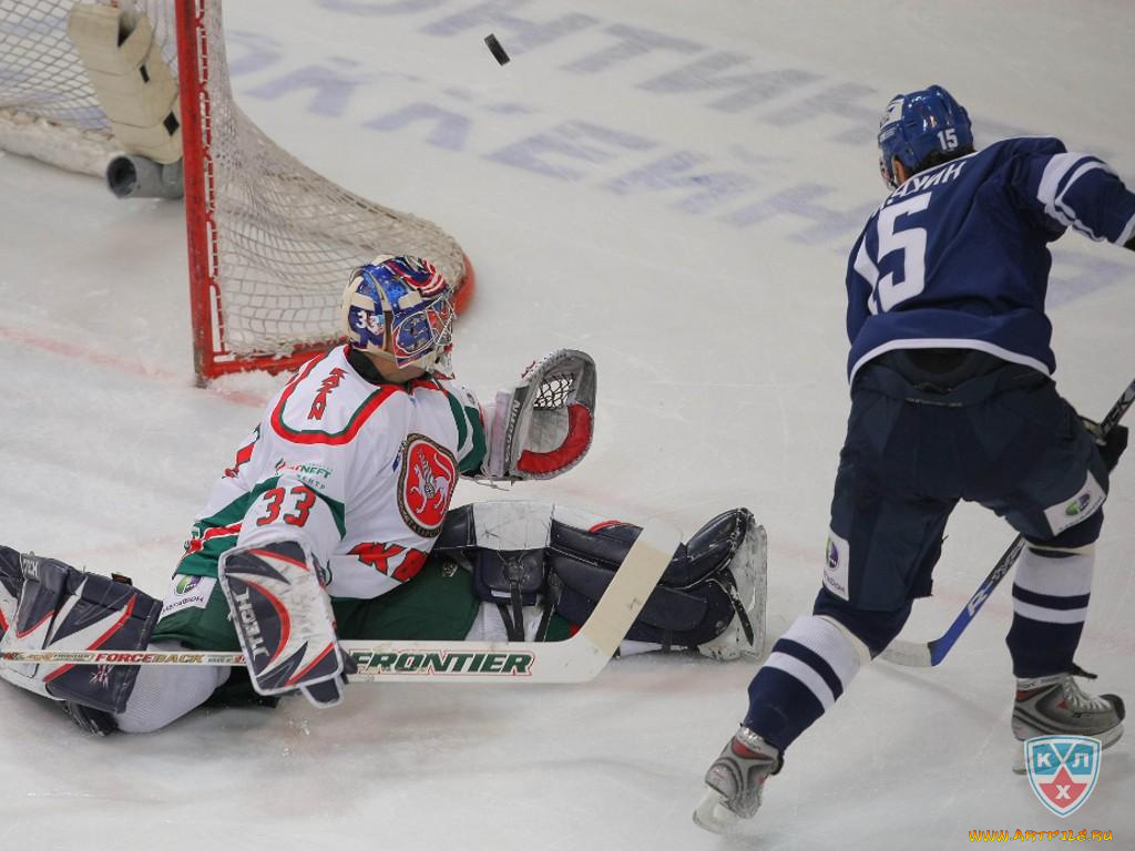 спорт, хоккей