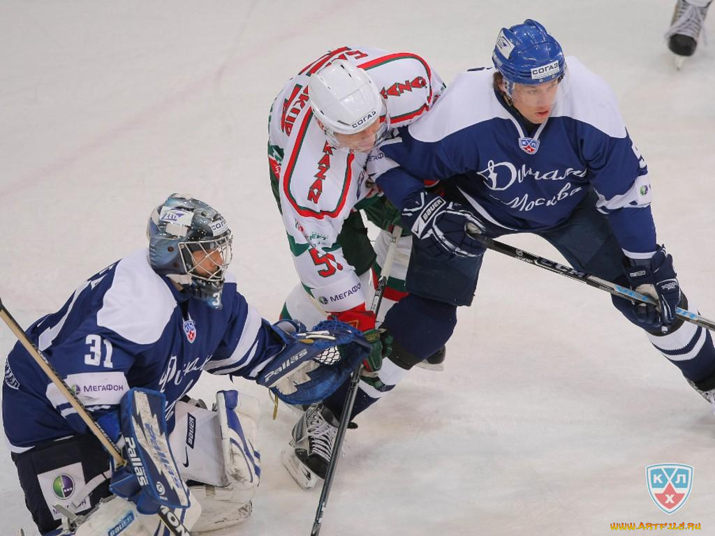 спорт, хоккей