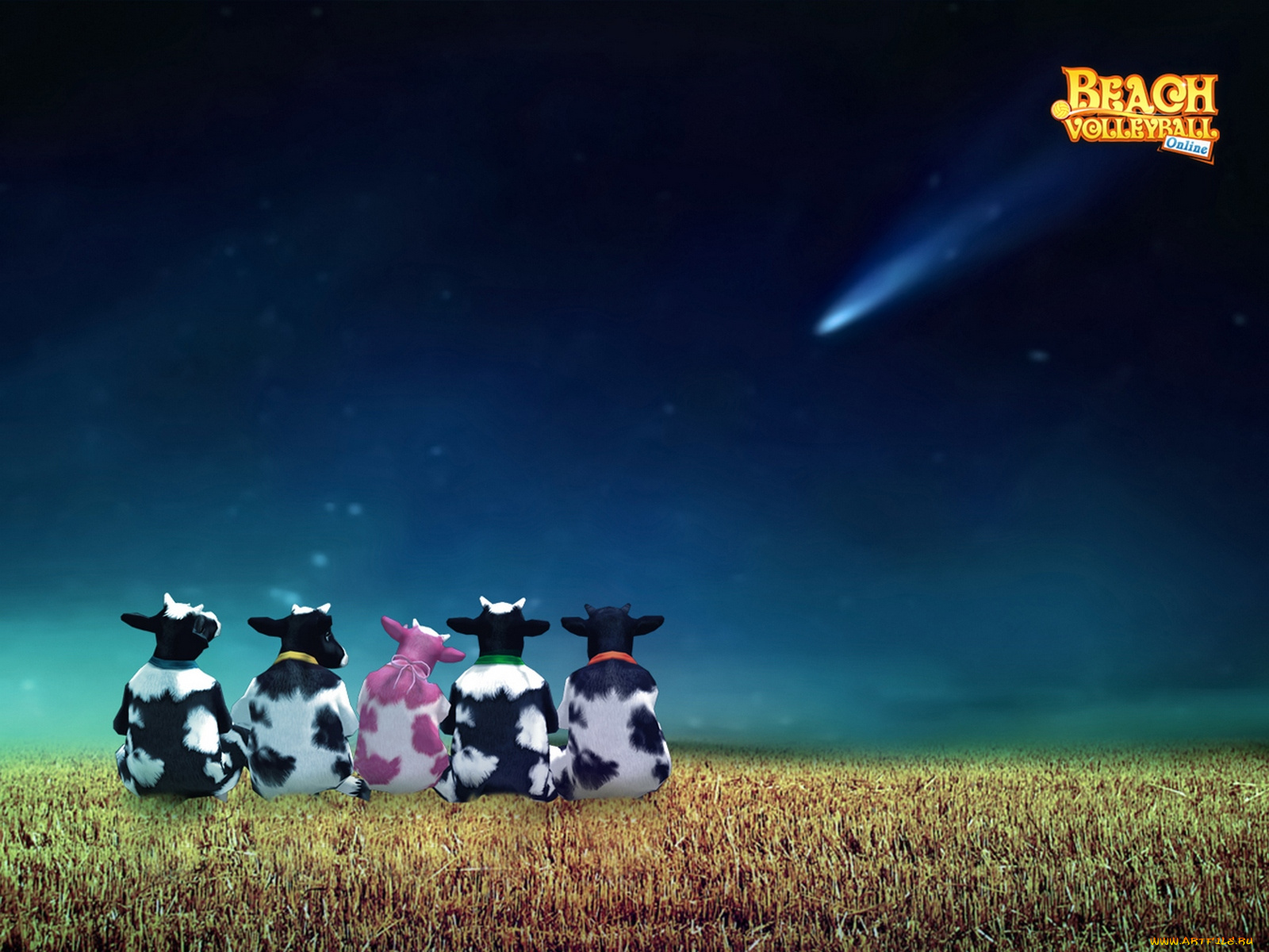 beach, volleyball, online, видео, игры
