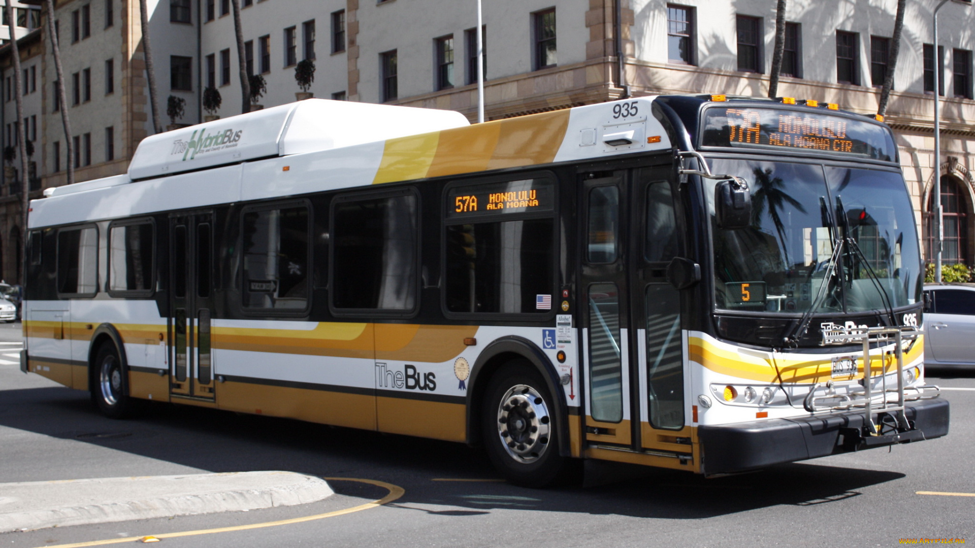 автомобили, автобусы