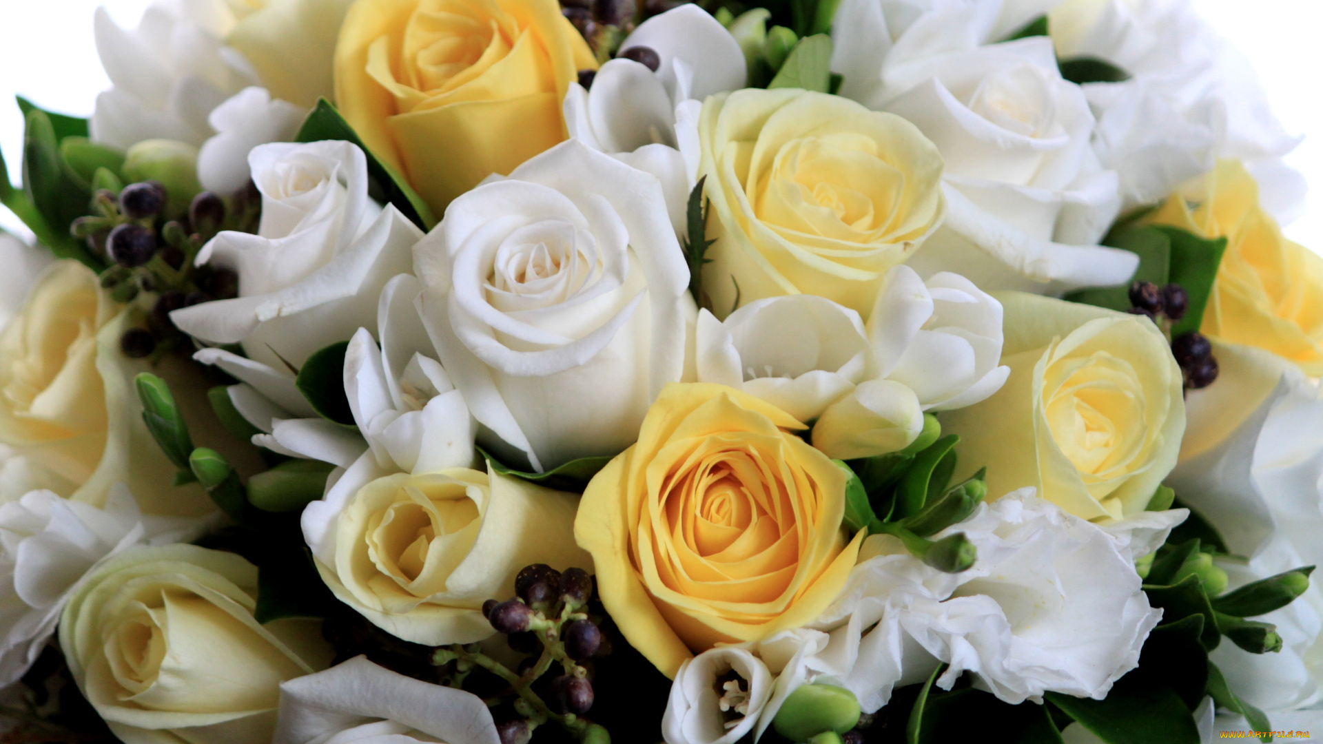 цветы, букеты, композиции, розы, фрезия