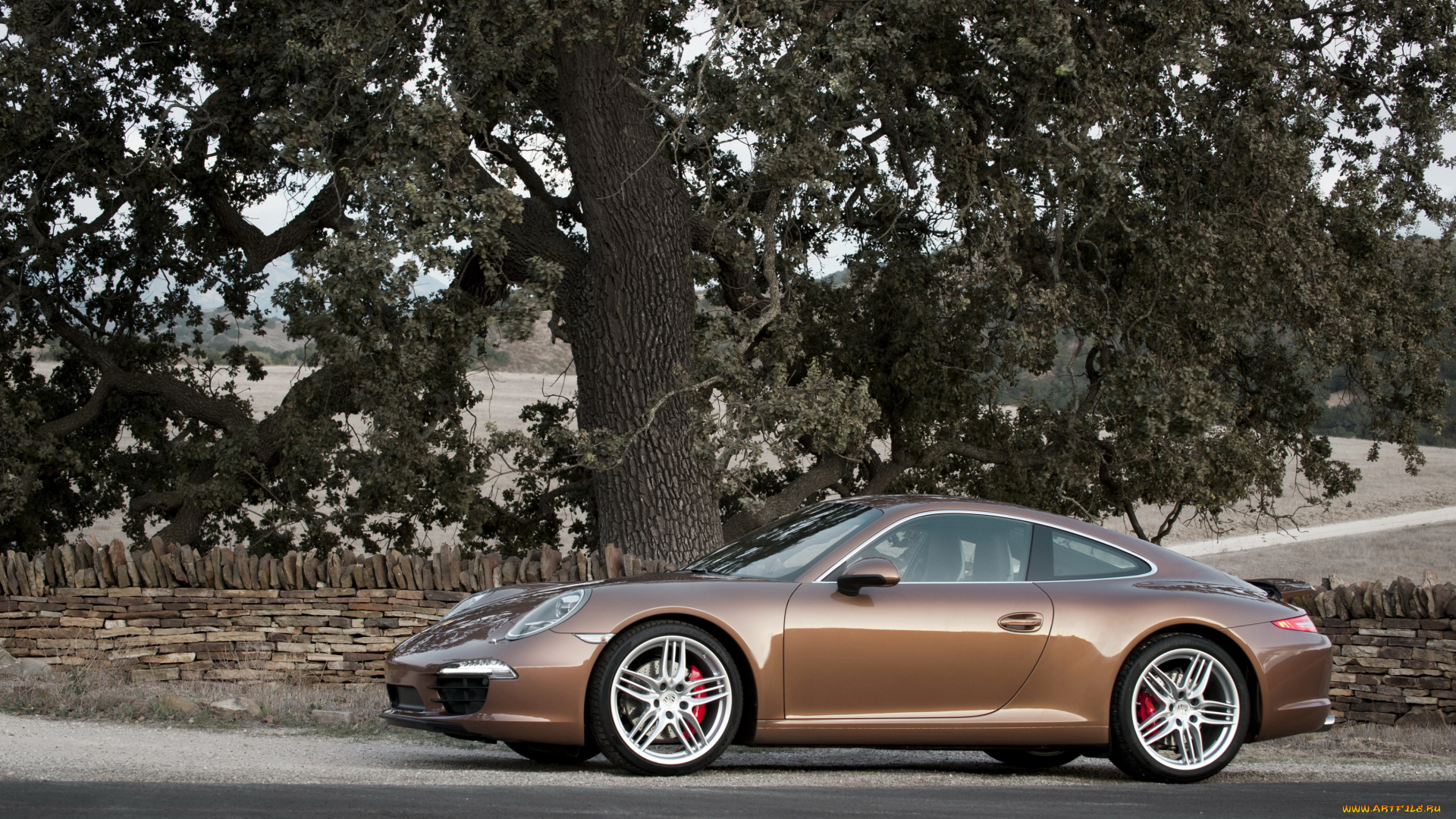 2011, porsche, 911, 991, carrera, автомобили