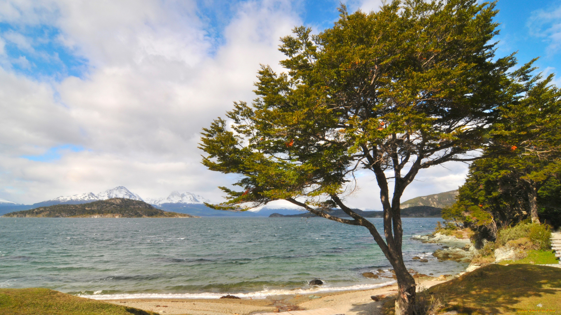 аргентина, огненная, земля, природа, побережье, море