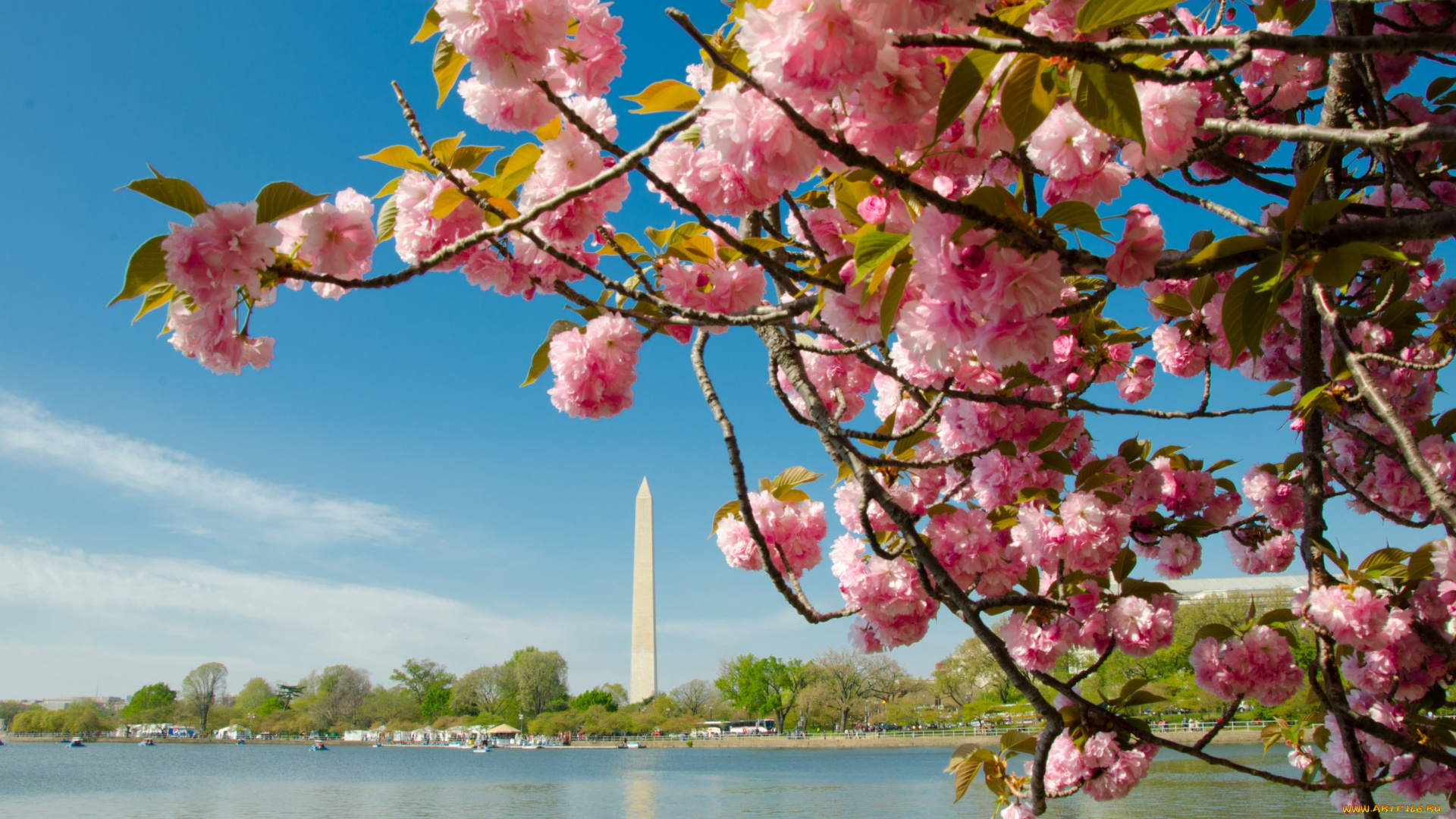 города, вашингтон, сша, монумент