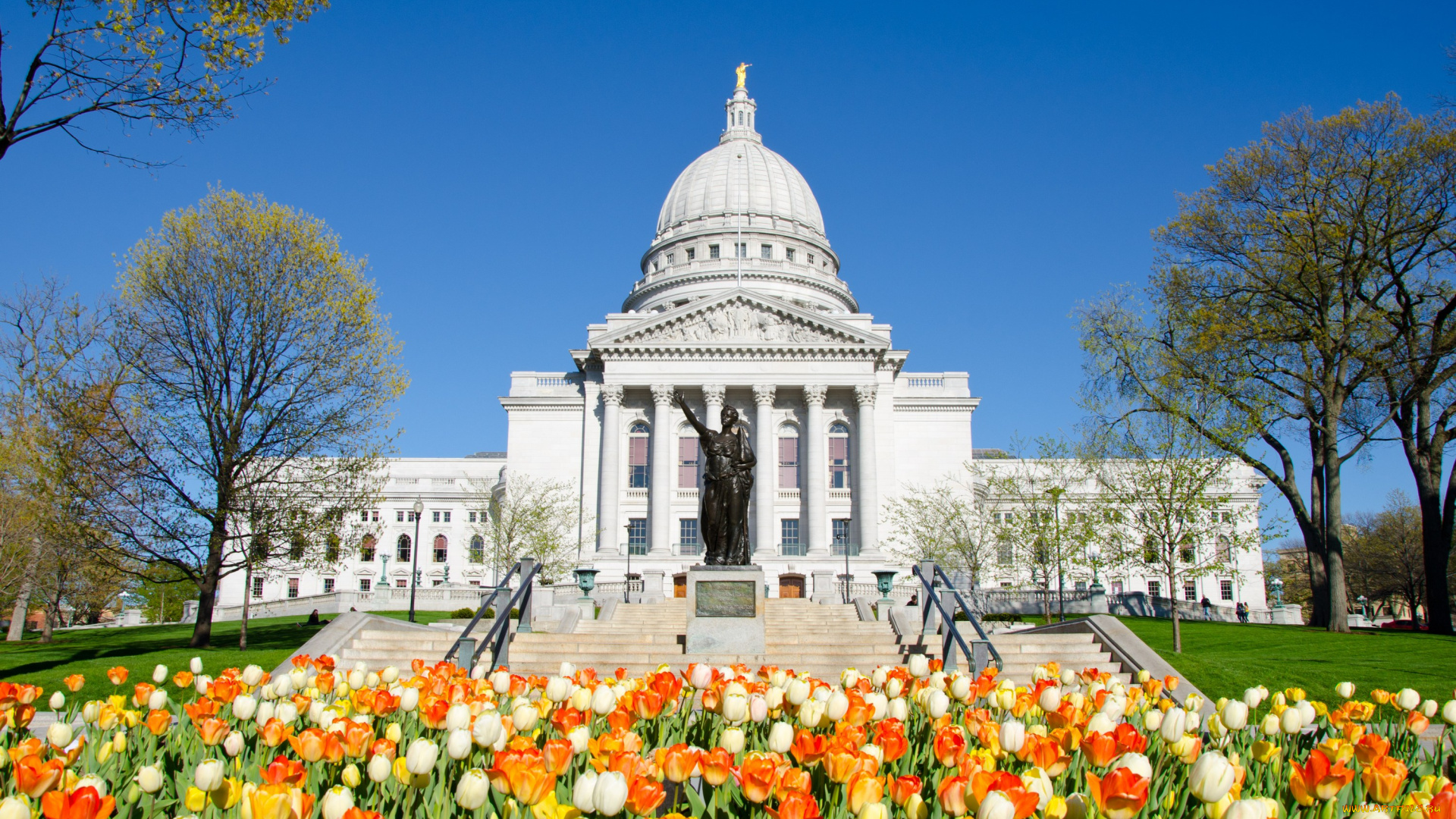 города, здания, дома, мэдисон, штат, висконсин, капитолий, сша