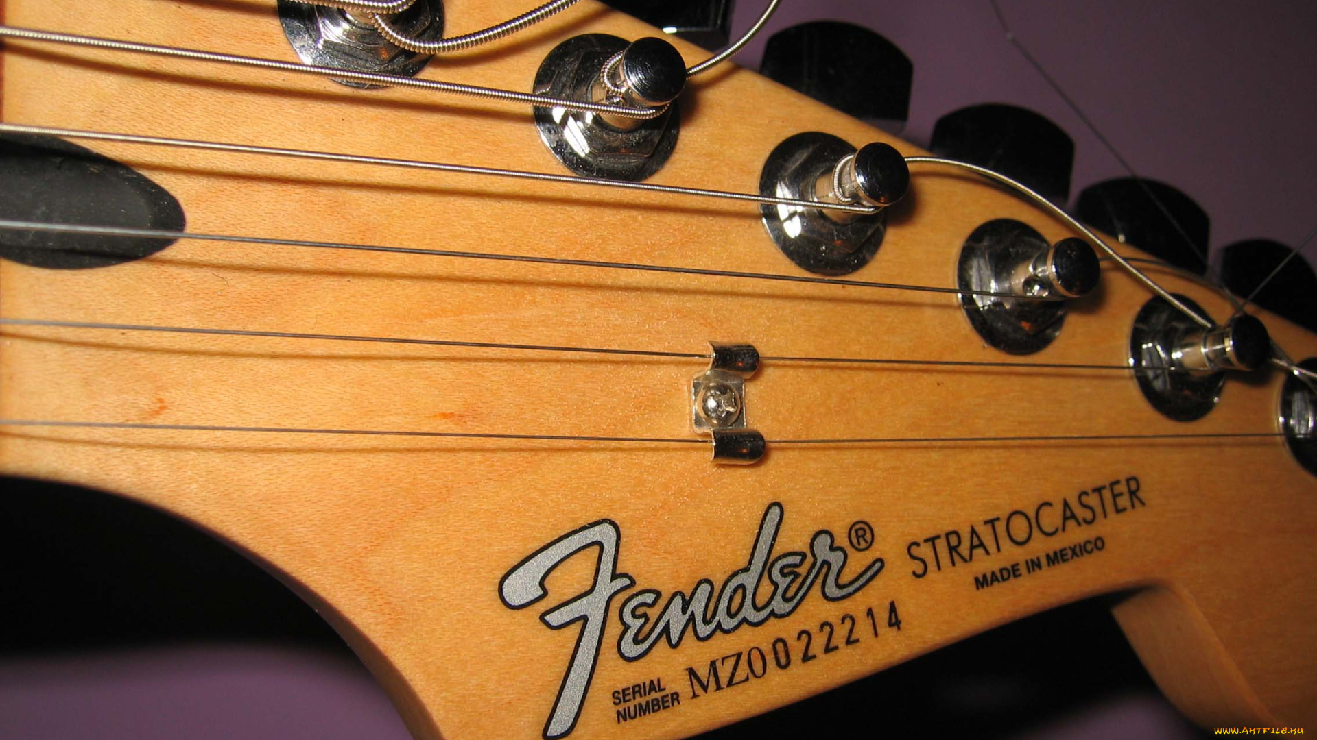 музыка, музыкальные, инструменты, струны, гриф, гитара, fender, stratocaster