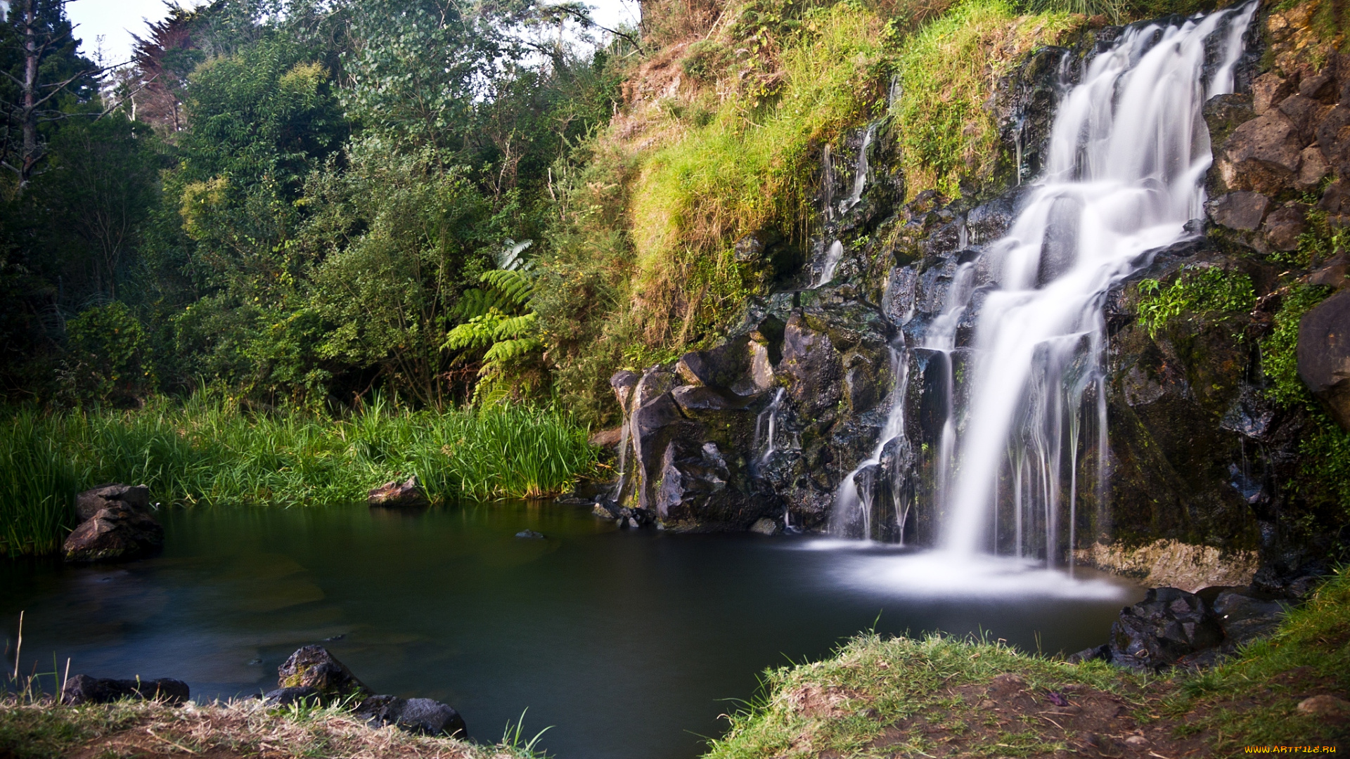 природа, водопады, вода, деревья