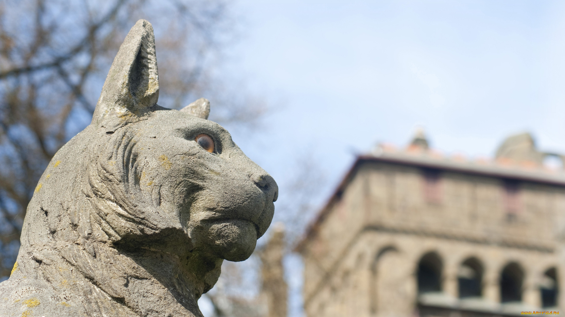 разное, рельефы, статуи, музейные, экспонаты, рысь, скульптура