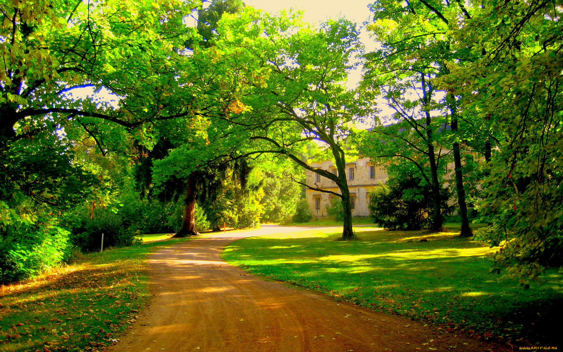 природа, дороги, деревья, дорога