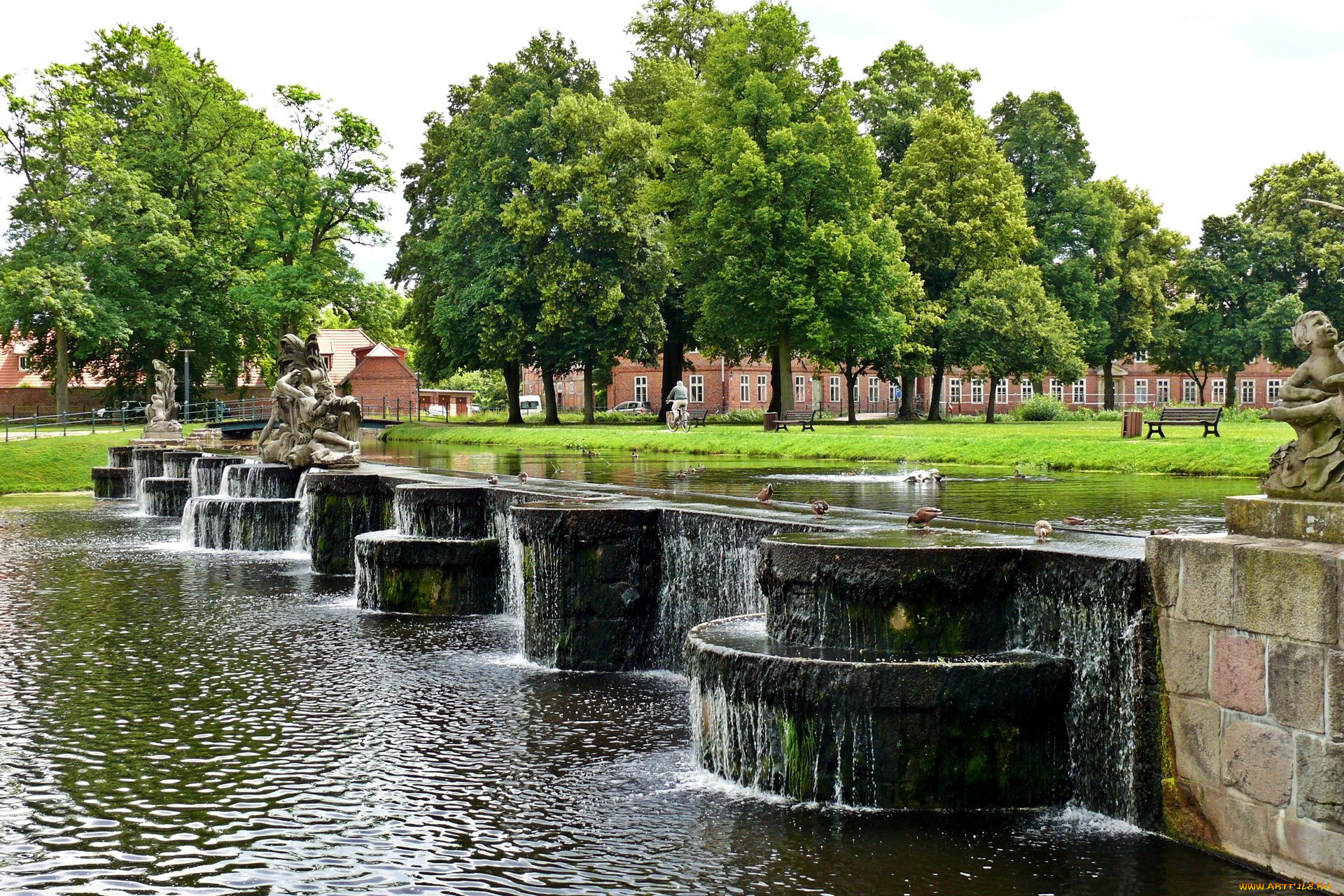 города, фонтаны, парк, утки