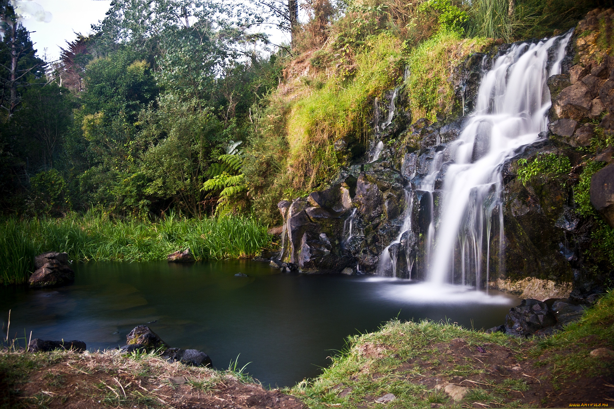 природа, водопады, вода, деревья