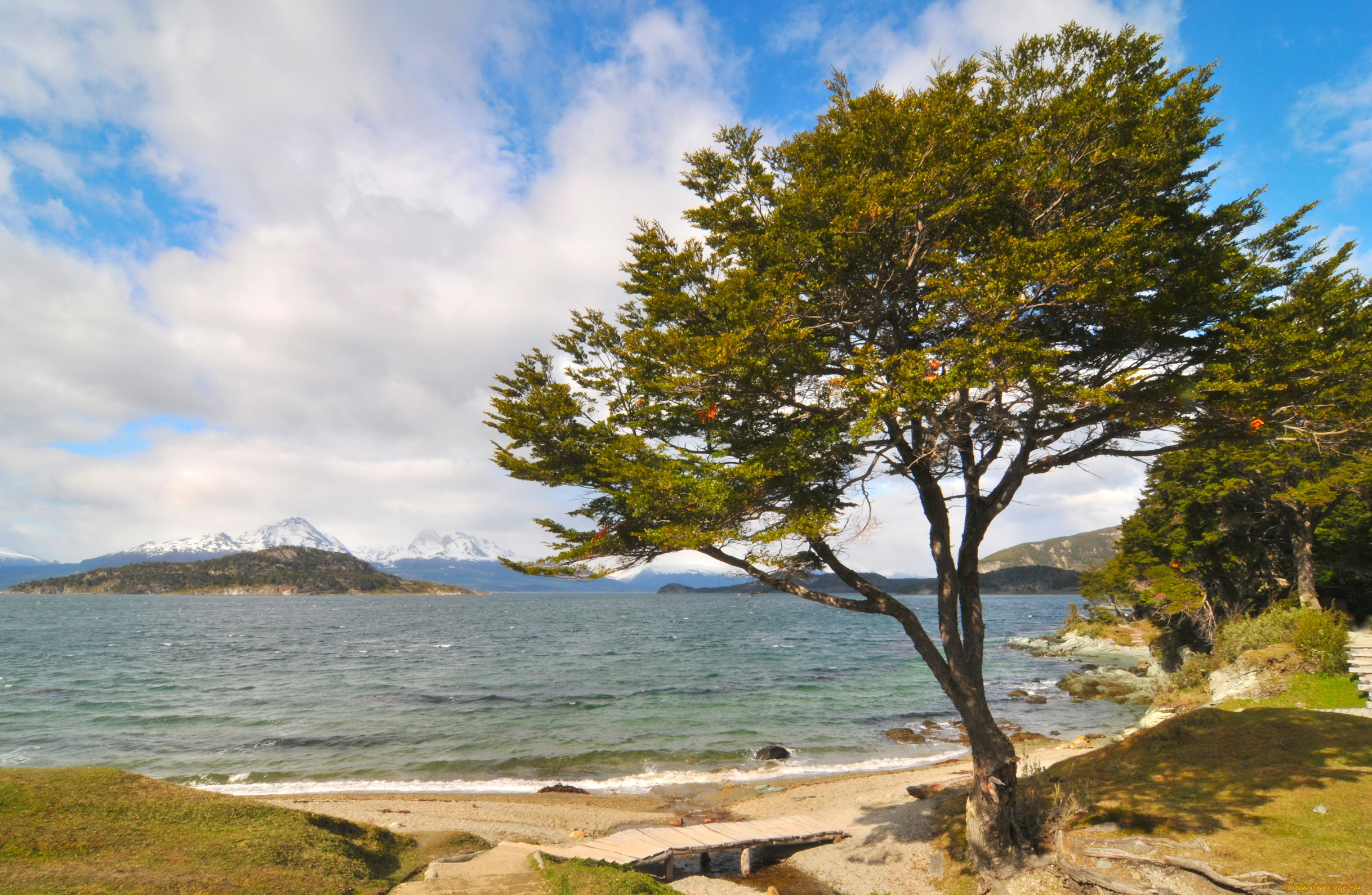 аргентина, огненная, земля, природа, побережье, море