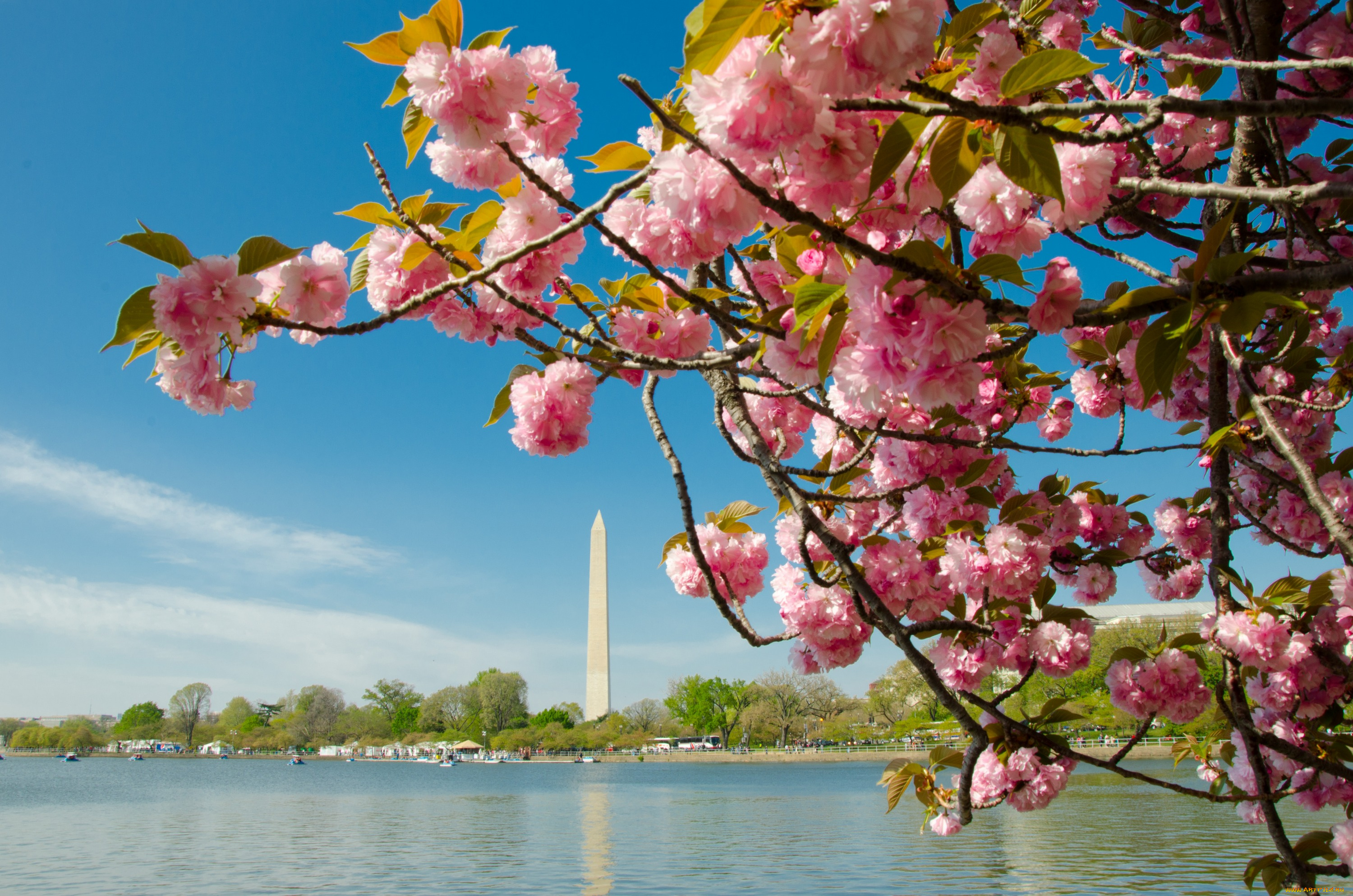 города, вашингтон, сша, монумент