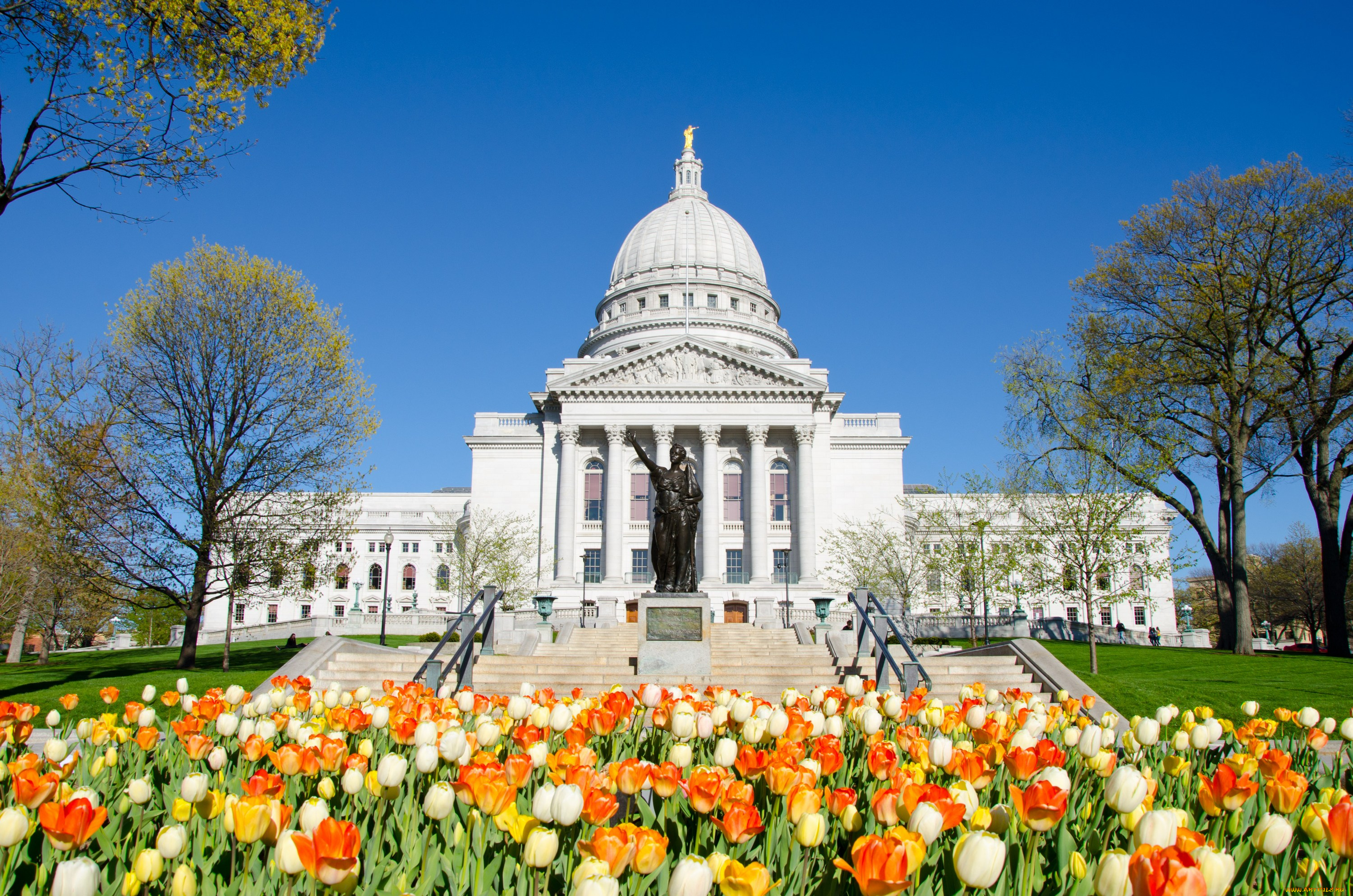 города, здания, дома, мэдисон, штат, висконсин, капитолий, сша