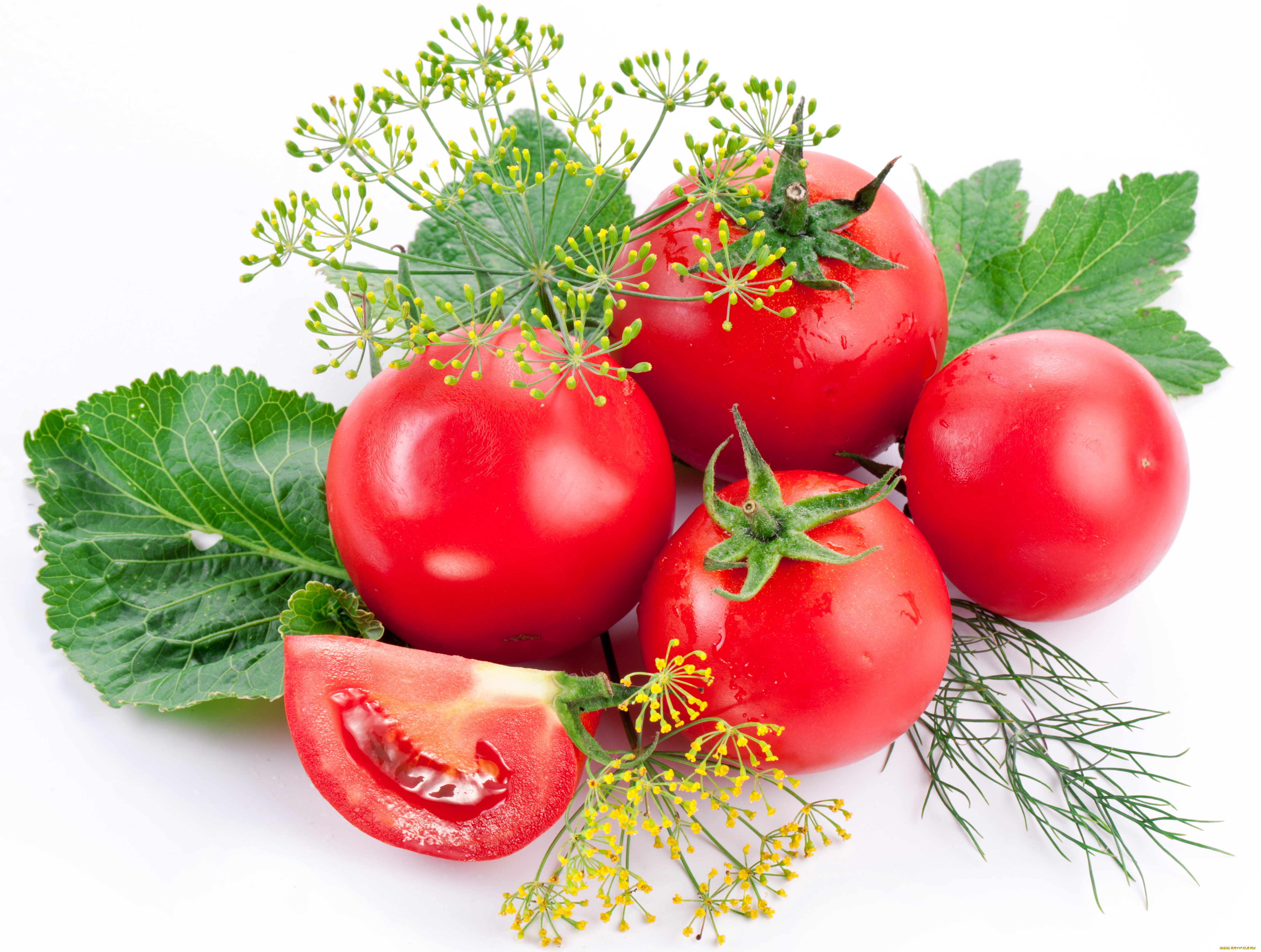 еда, помидоры, томаты