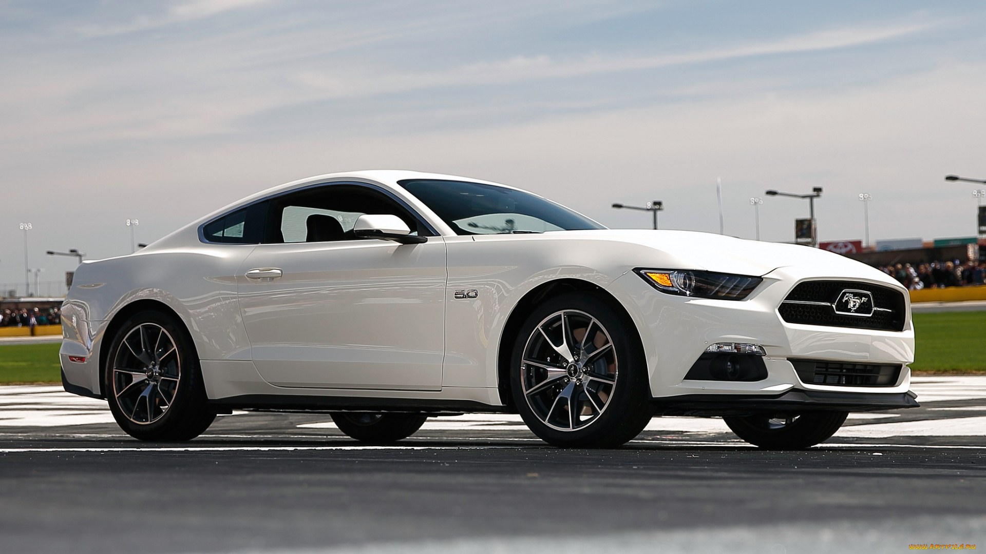 автомобили, mustang, 50, years, 2015г, gt