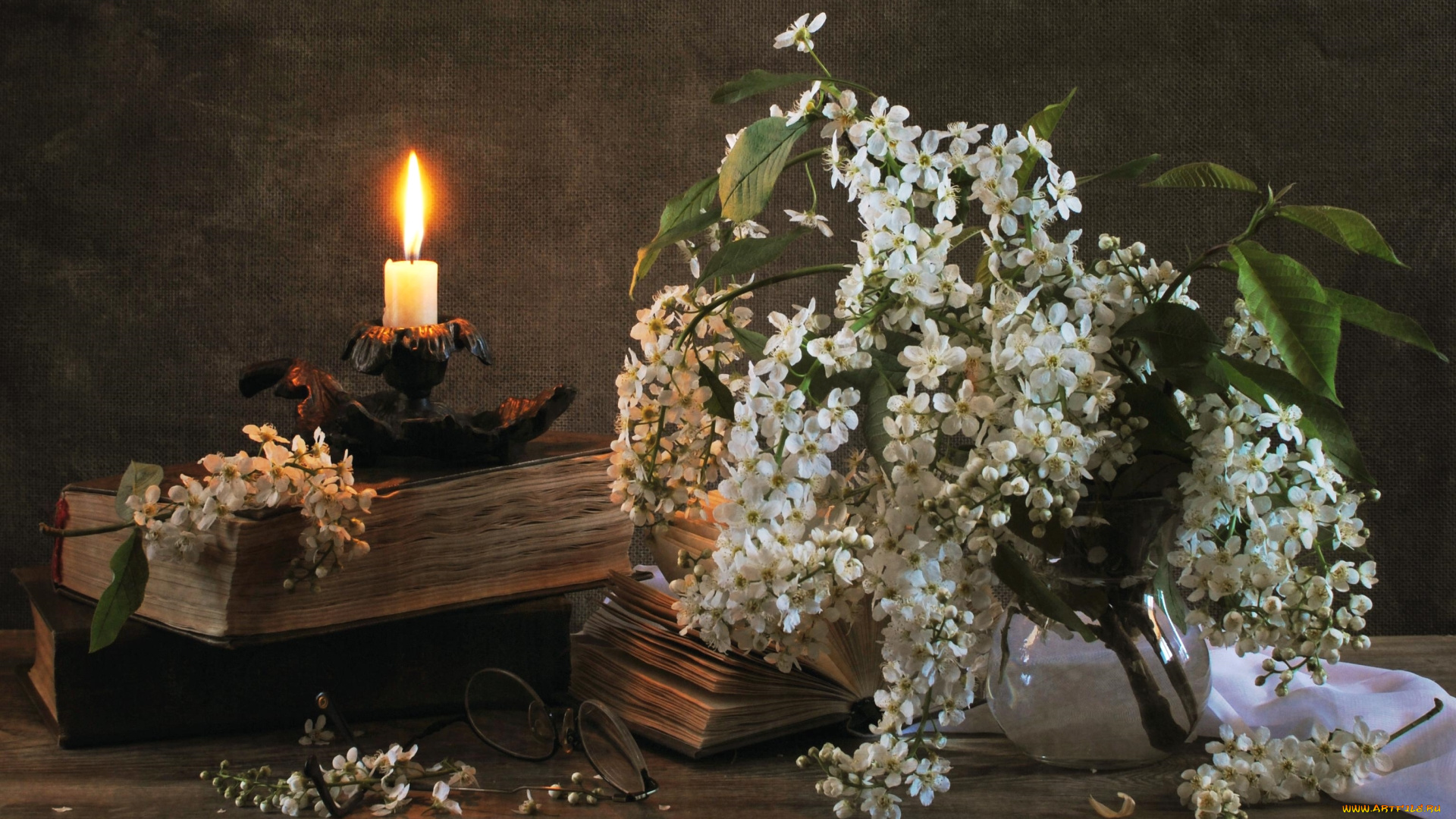 цветы, цветущие, деревья, , , кустарники, свеча, черемуха